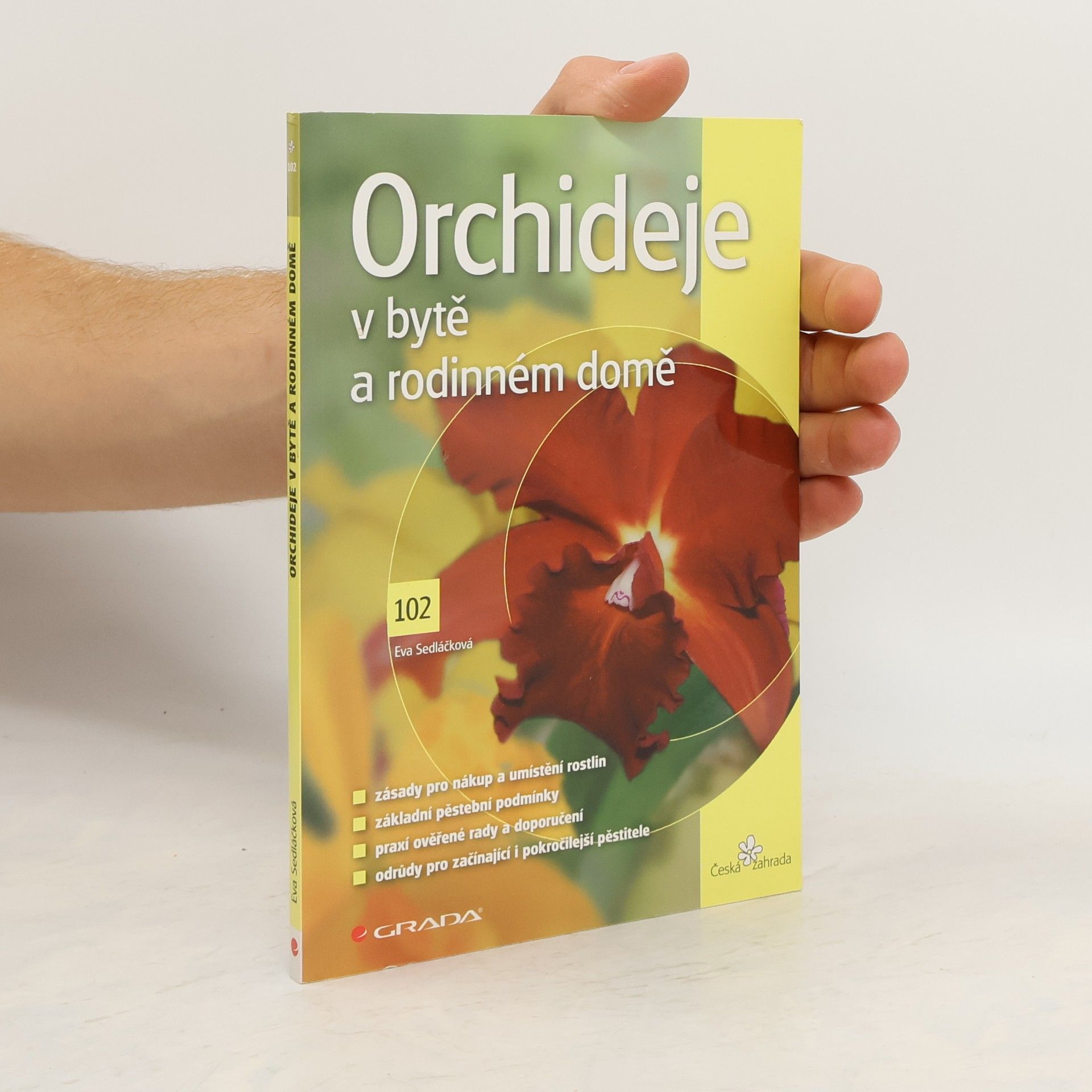 Eva Sedláčková Orchideje v bytě a rodinném domě