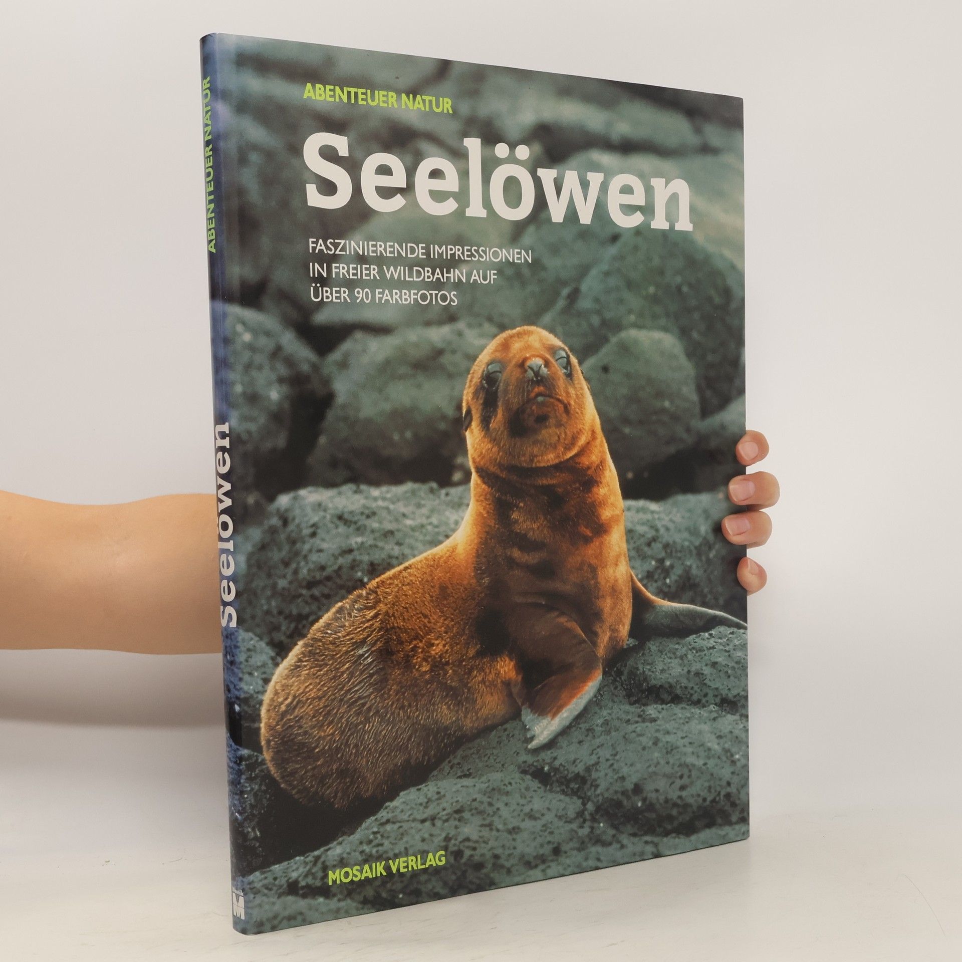 Patrick de Wilde Seelöwen