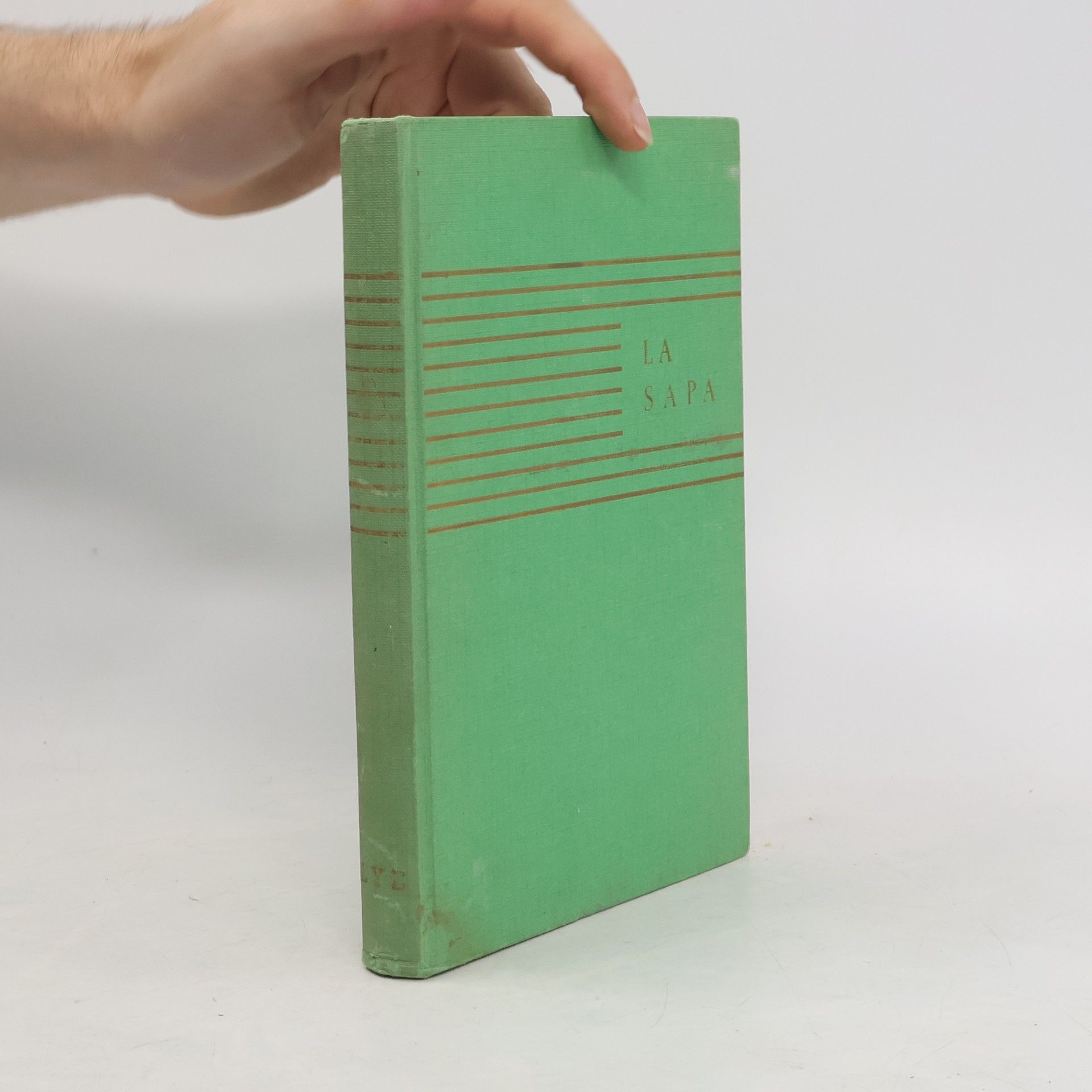 Autores varios La sapa