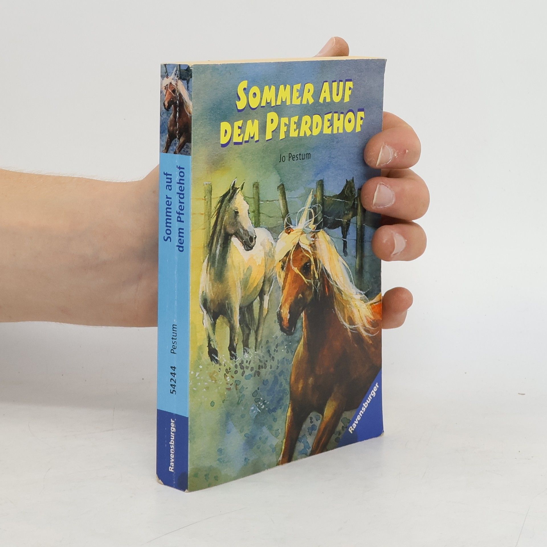 Jo Pestum Sommer auf dem Pferdehof