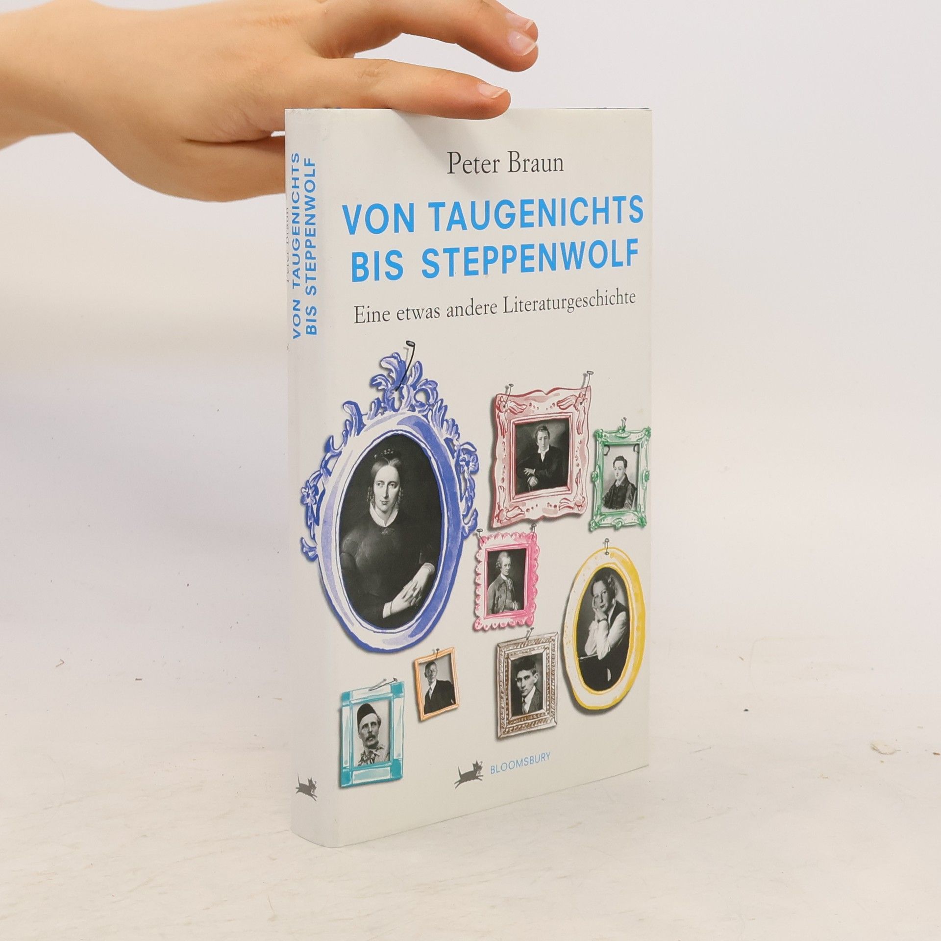 Peter Braun Von Taugenichts bis Steppenwolf