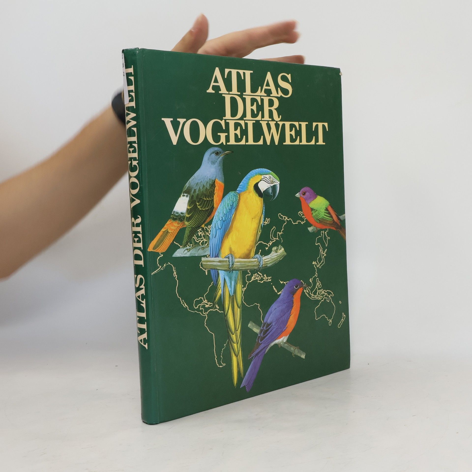 Goetz Rheinwald Atlas der Vogelwelt