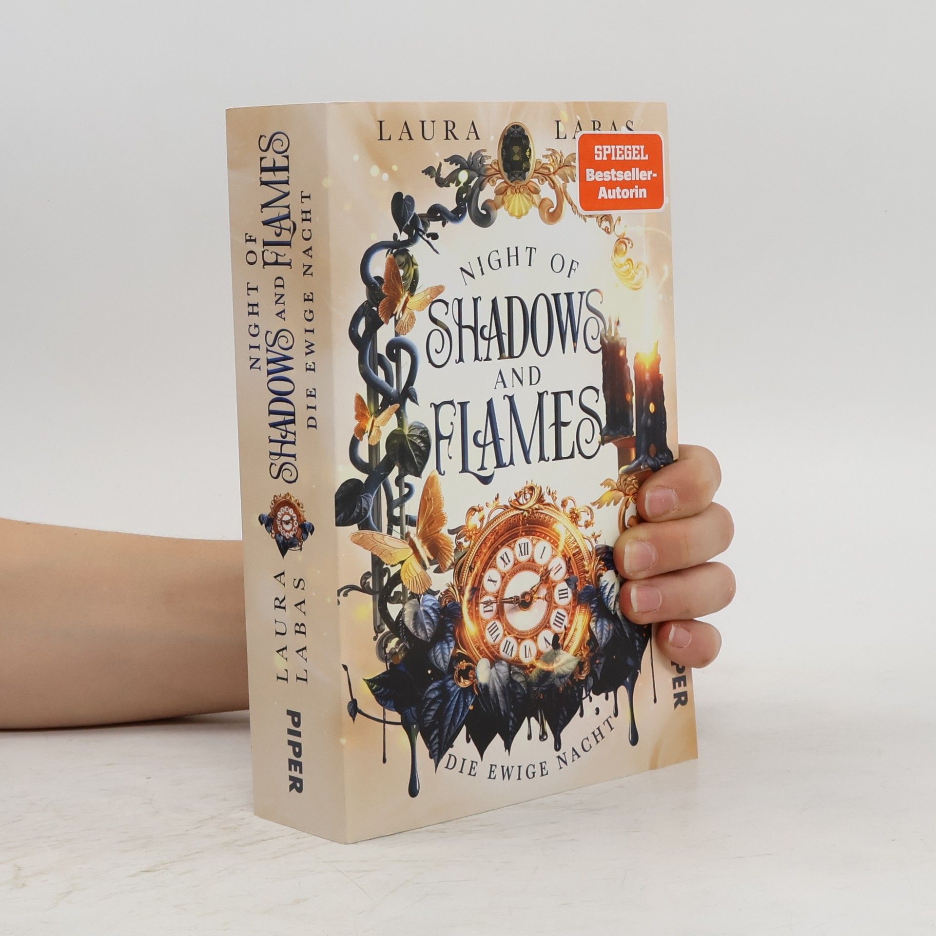 Laura Labas Die Ewige Nacht / Night of Shadows and Flames Bd.2