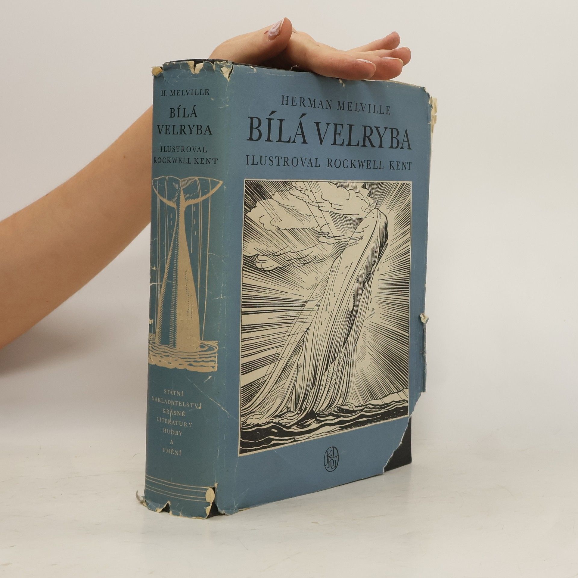 Herman Melville Bílá velryba