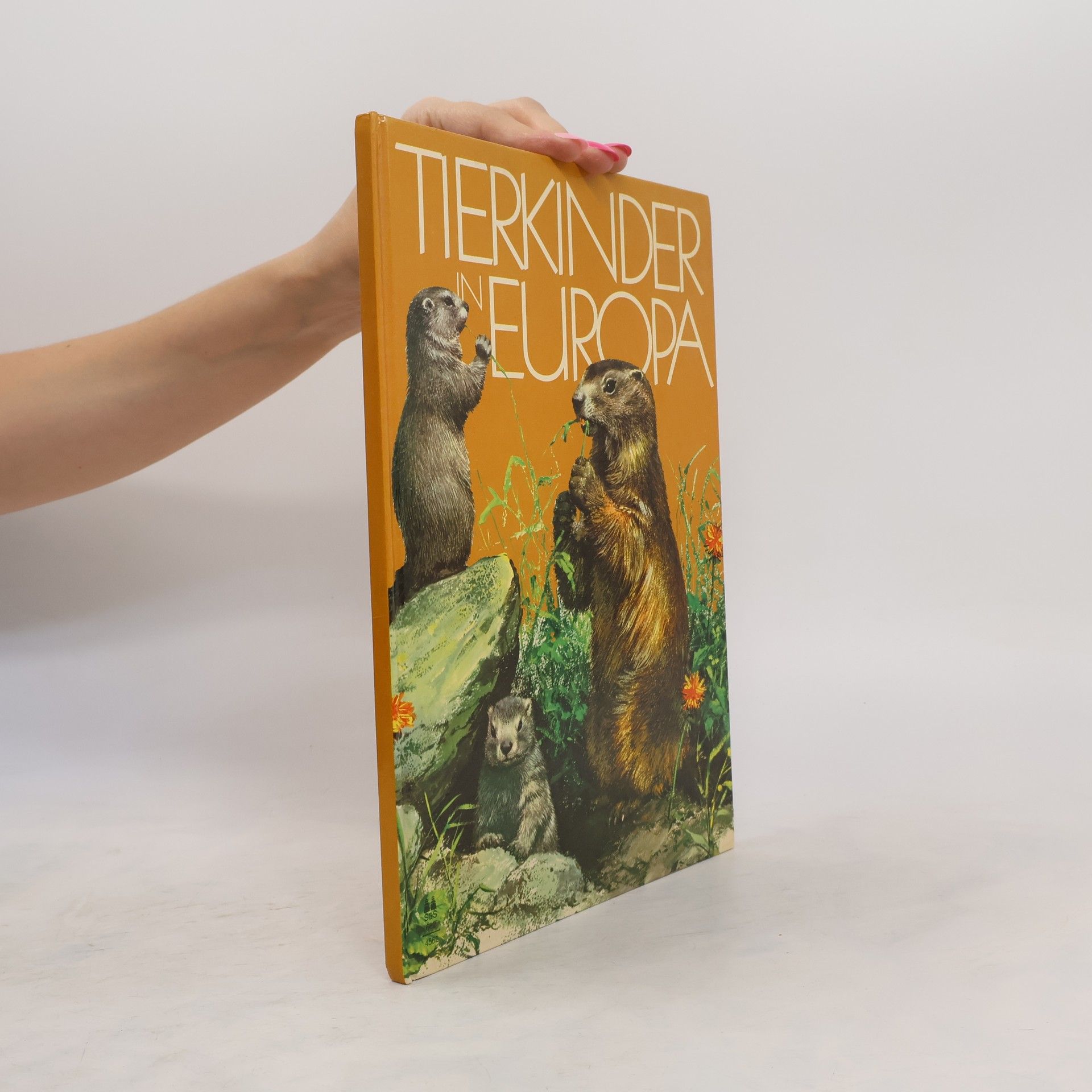 Autorenkollektiv Tierkinder in Europa
