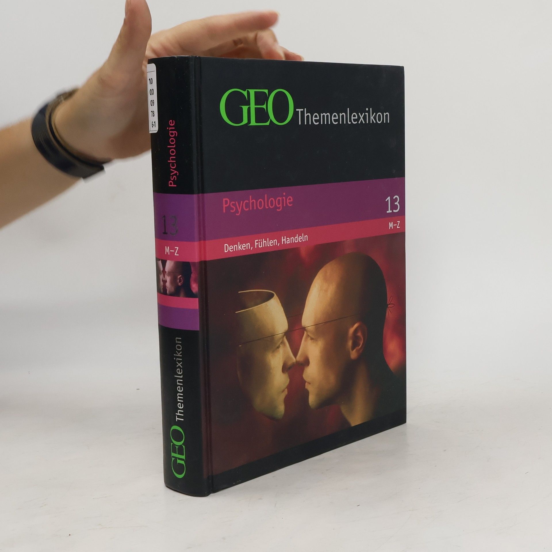 Peter Matthias Gaede Psychologie