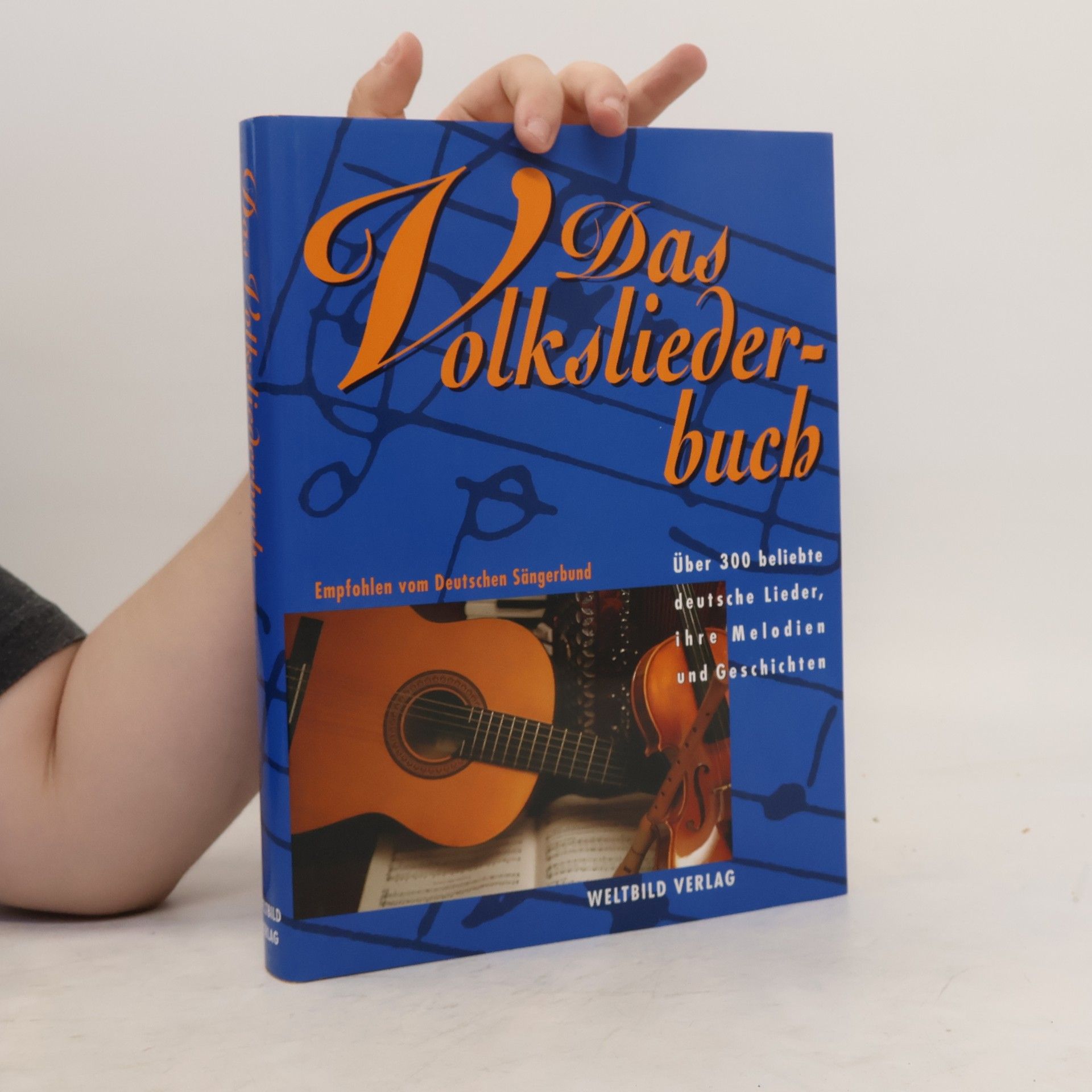 Heinz Rölleke Das Volksliederbuch
