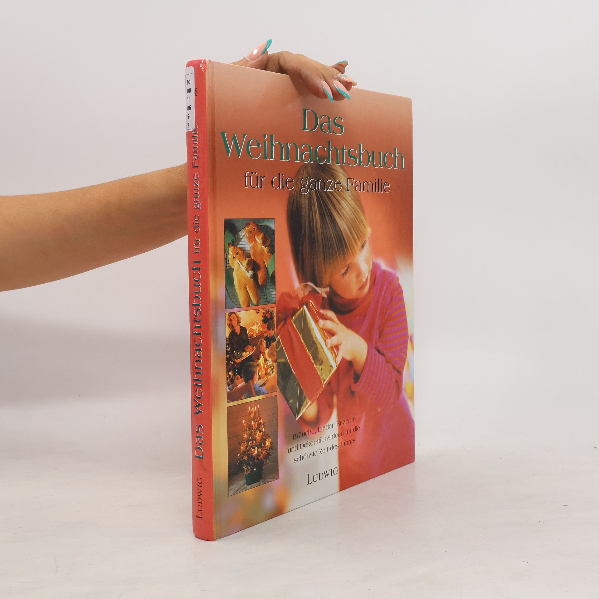 Beate Volmari Das Weihnachtsbuch für die ganze Familie