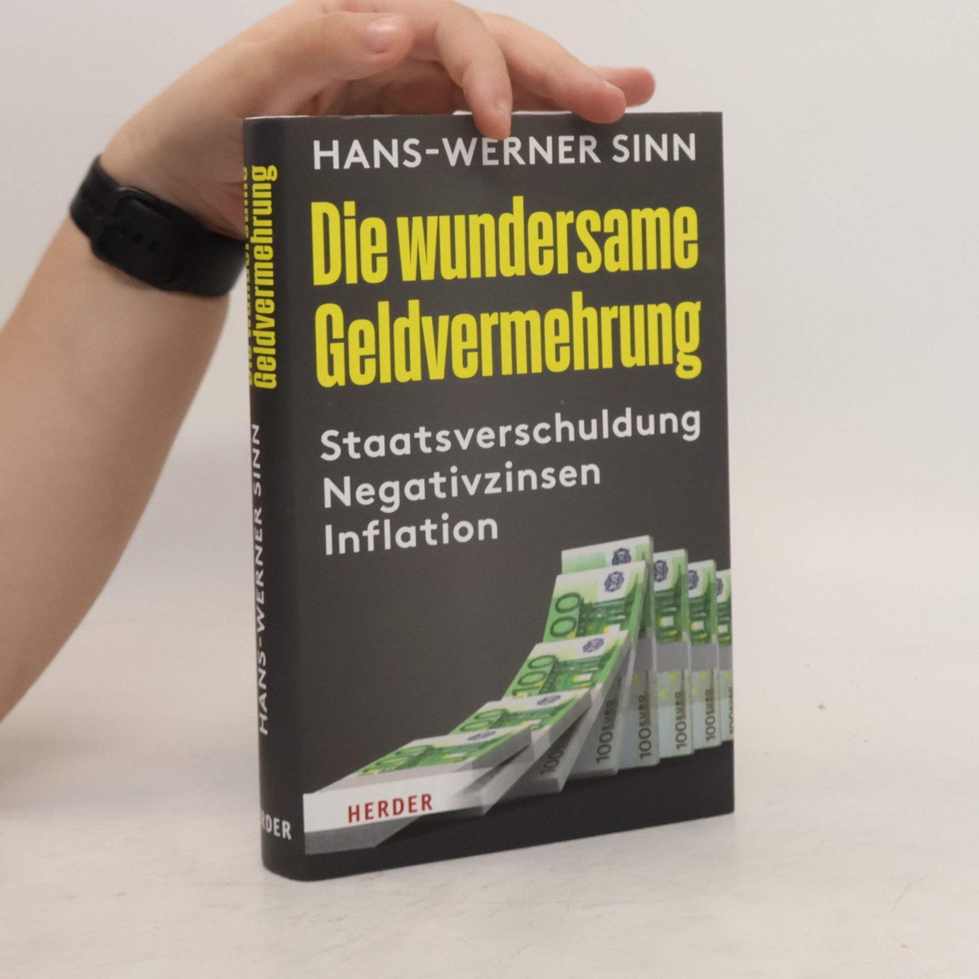 Werner Sinn Die wundersame Geldvermehrung : Staatsverschuldung, Negativzinsen, Inflation