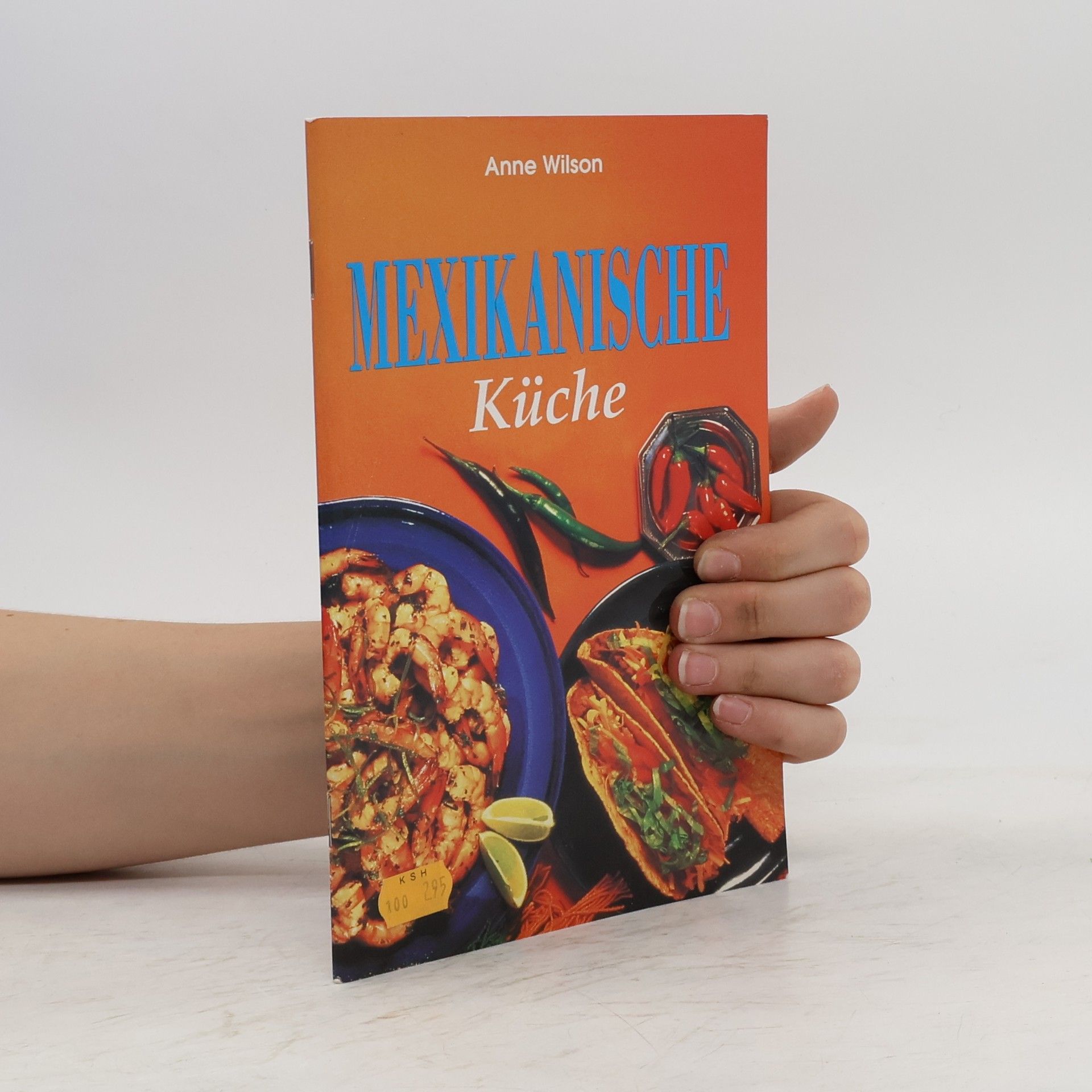 Anne Wilson Mexikanische Küche