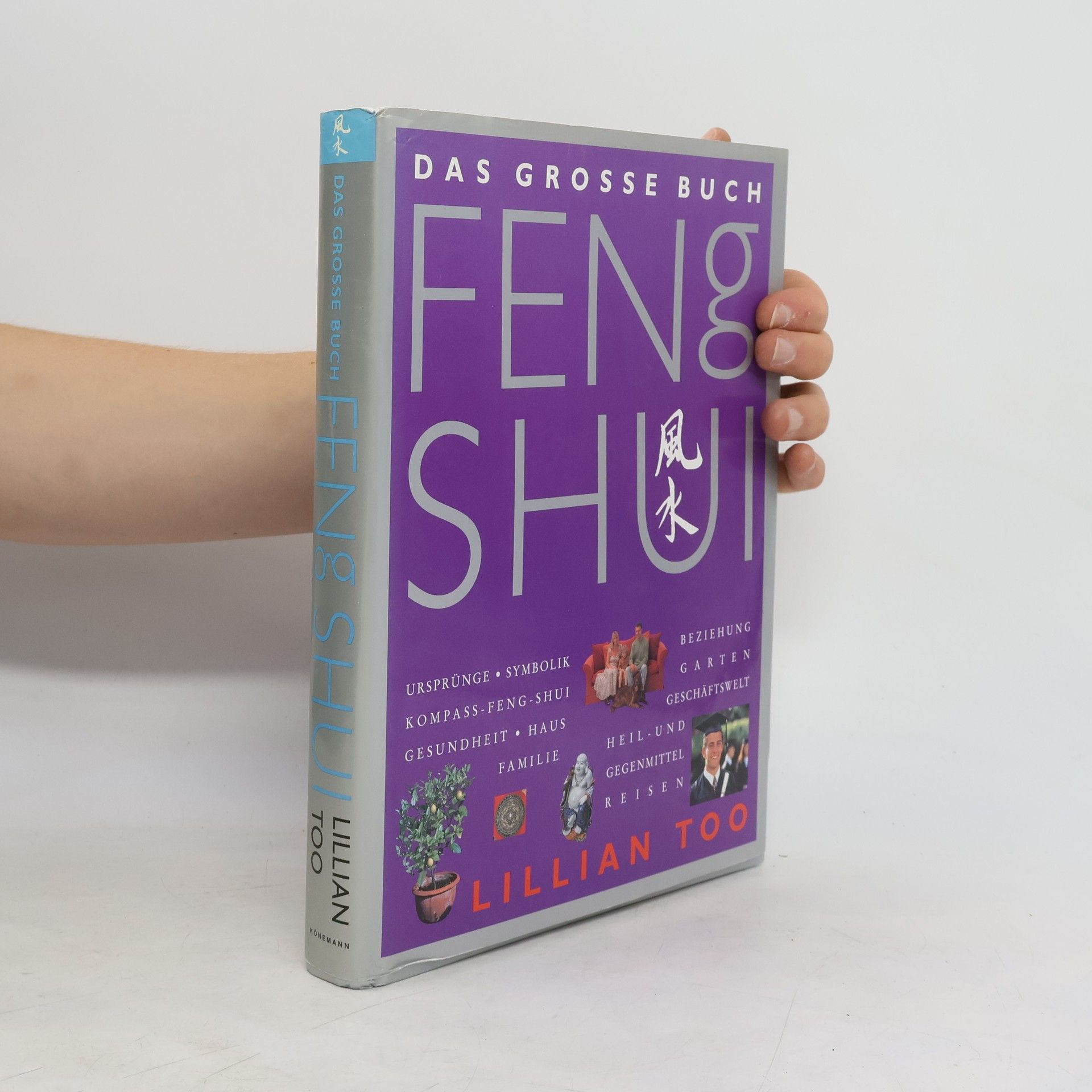 Lillian Too Das grosse Buch Feng Shui
