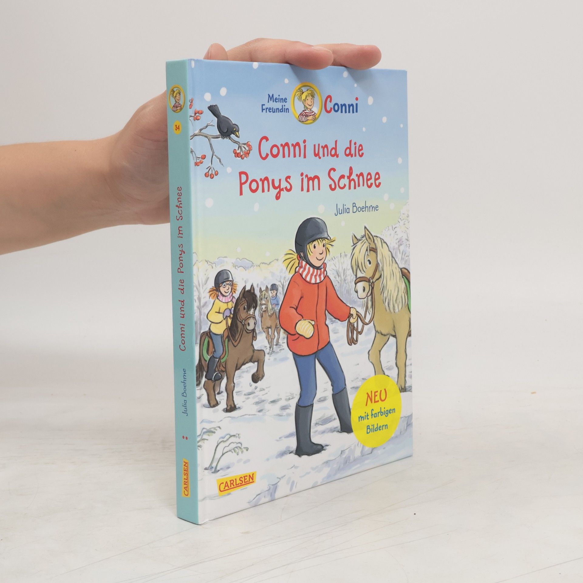 Julia Boehme Conni und die Ponys im Schnee