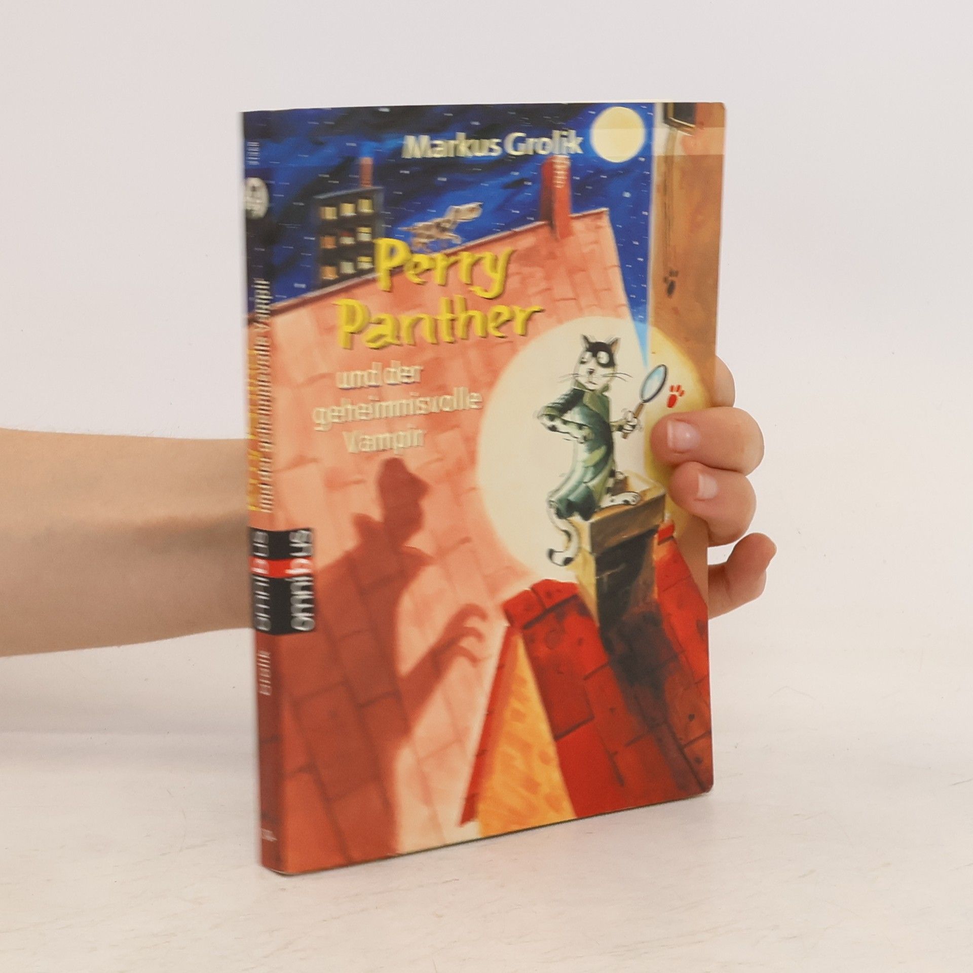 Markus Grolik Perry Panther und der geheimnisvolle Vampir