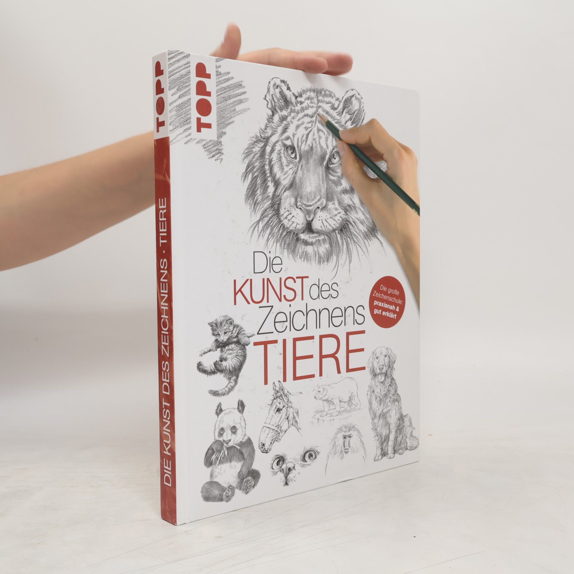 Autorenkollektiv Die Kunst des Zeichnens - Tiere