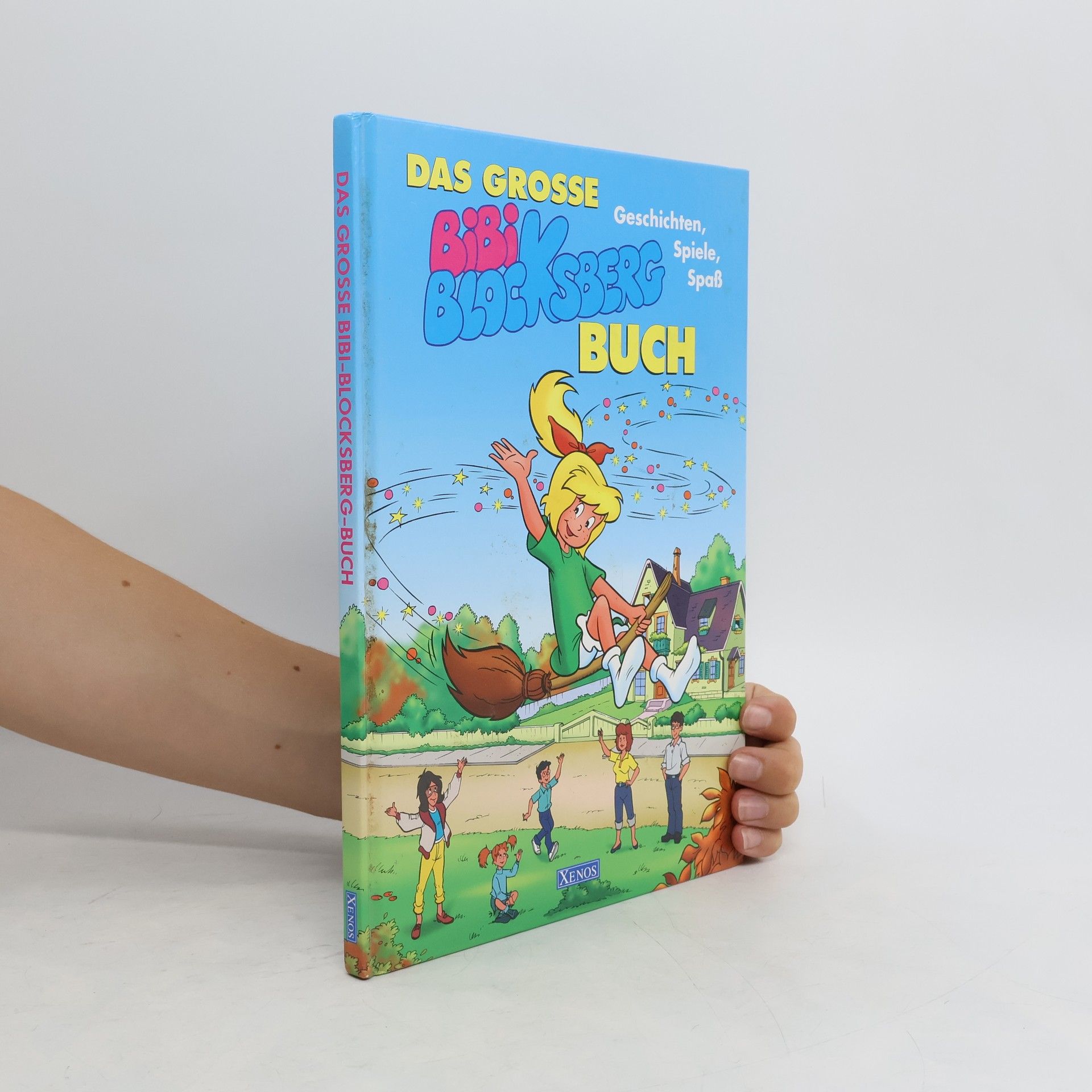 Autorenkollektiv Das grosse Bibi Blocksberg Buch