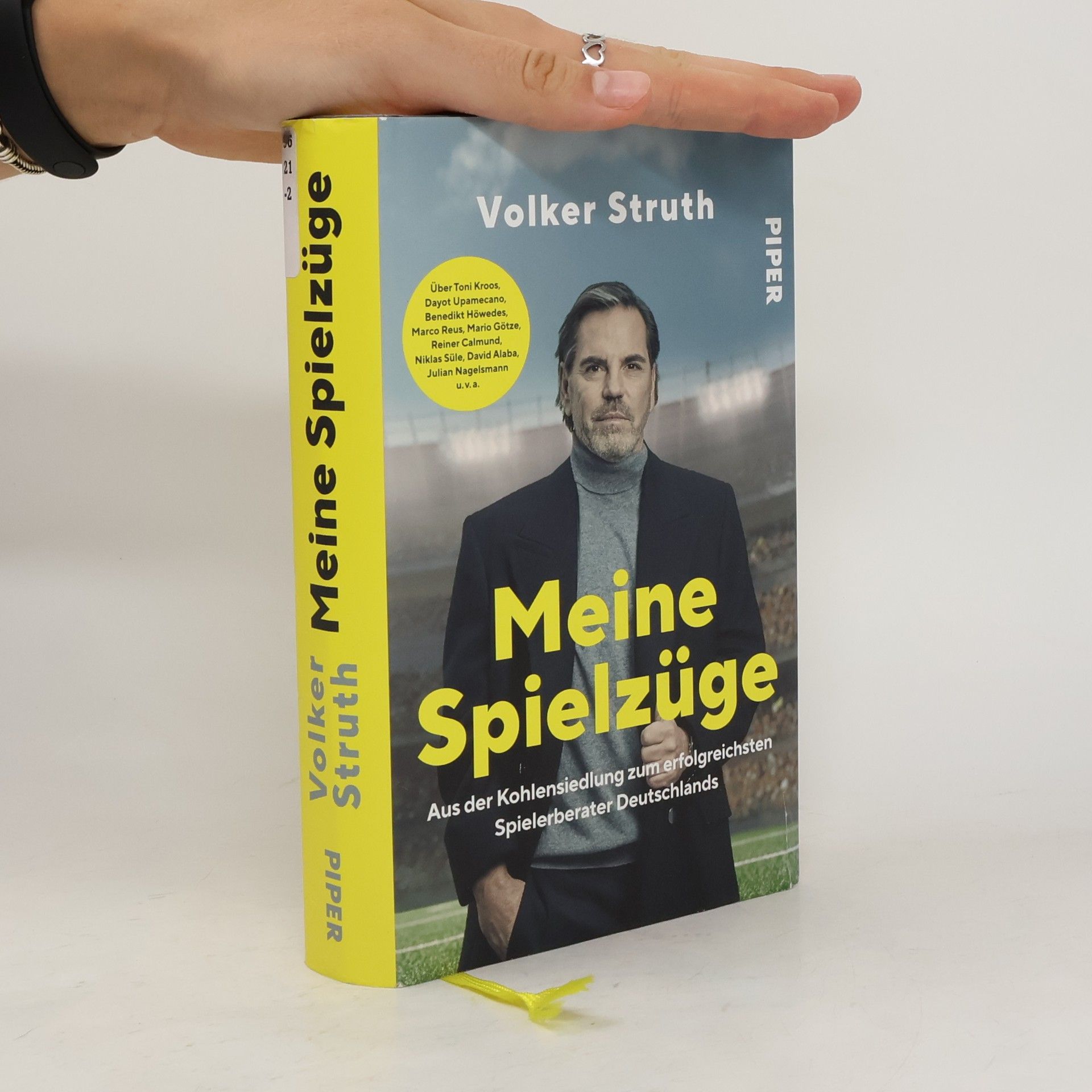 Volter Struth Meine Spielzüge