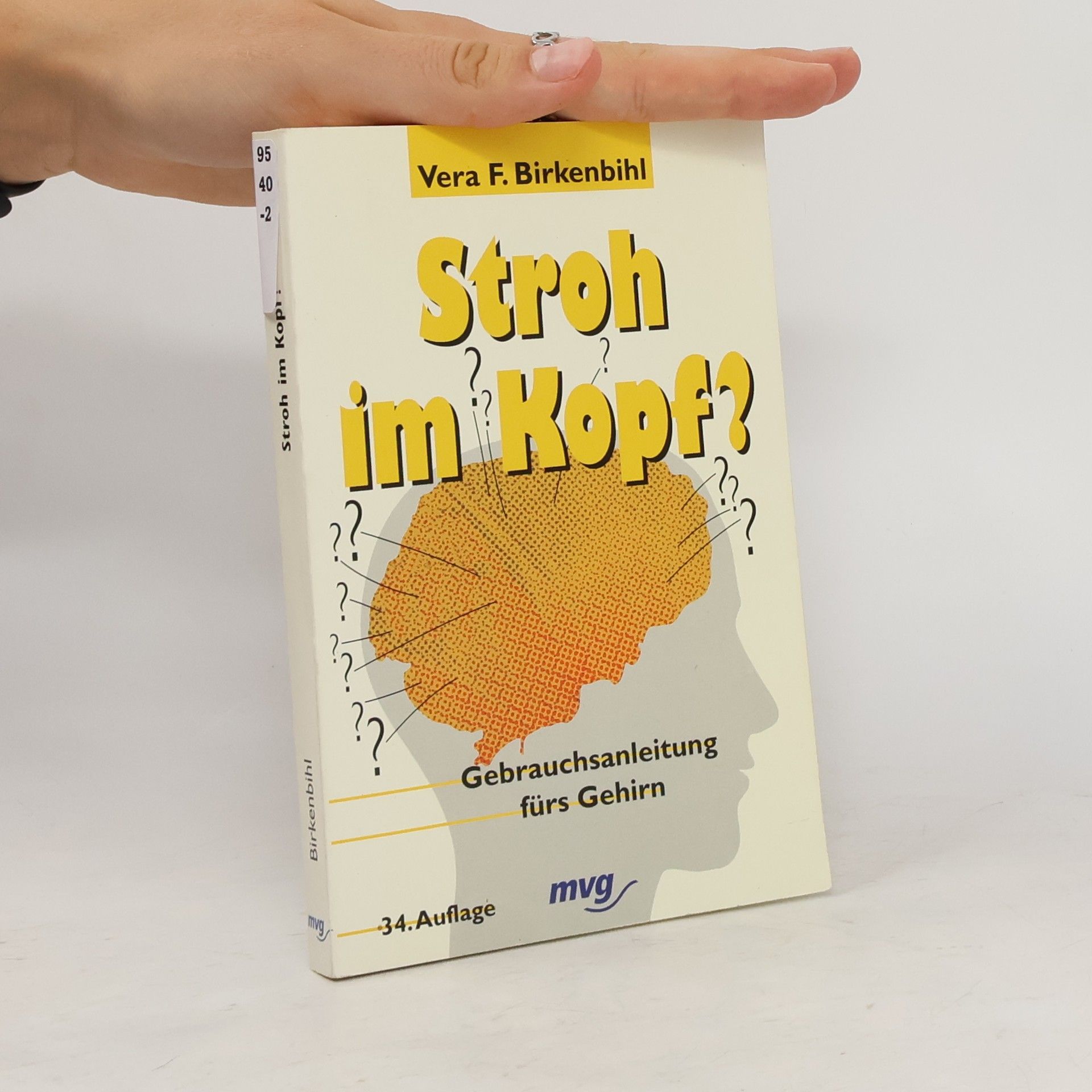 Vera F. Birkenbihl Stroh im Kopf? : Gebrauchsanleitung fürs Gehirn