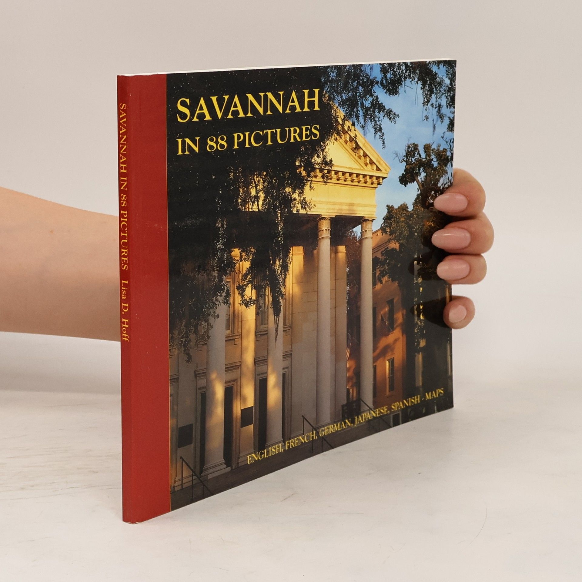 Lisa D. Hoff Savannah in 88 Pictures