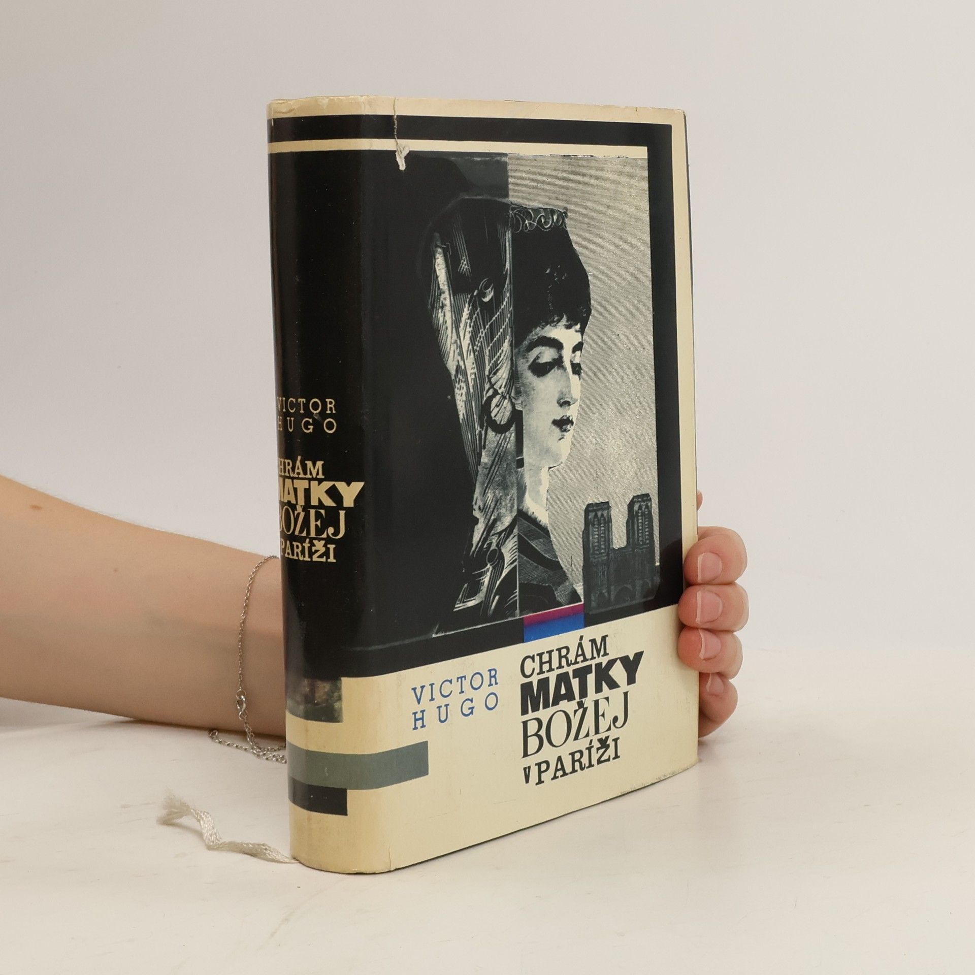 Victor Hugo Chrám Matky Božej v Paríži