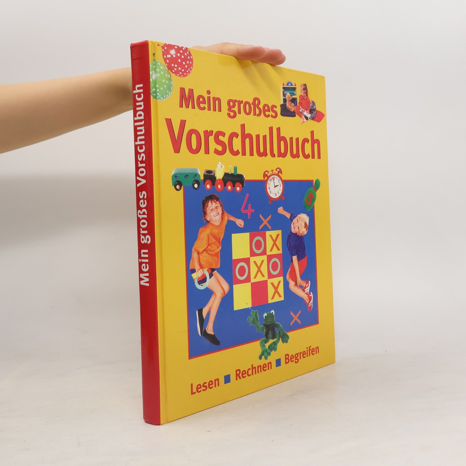 Cornelia Panzacchi Mein großes Vorschulbuch