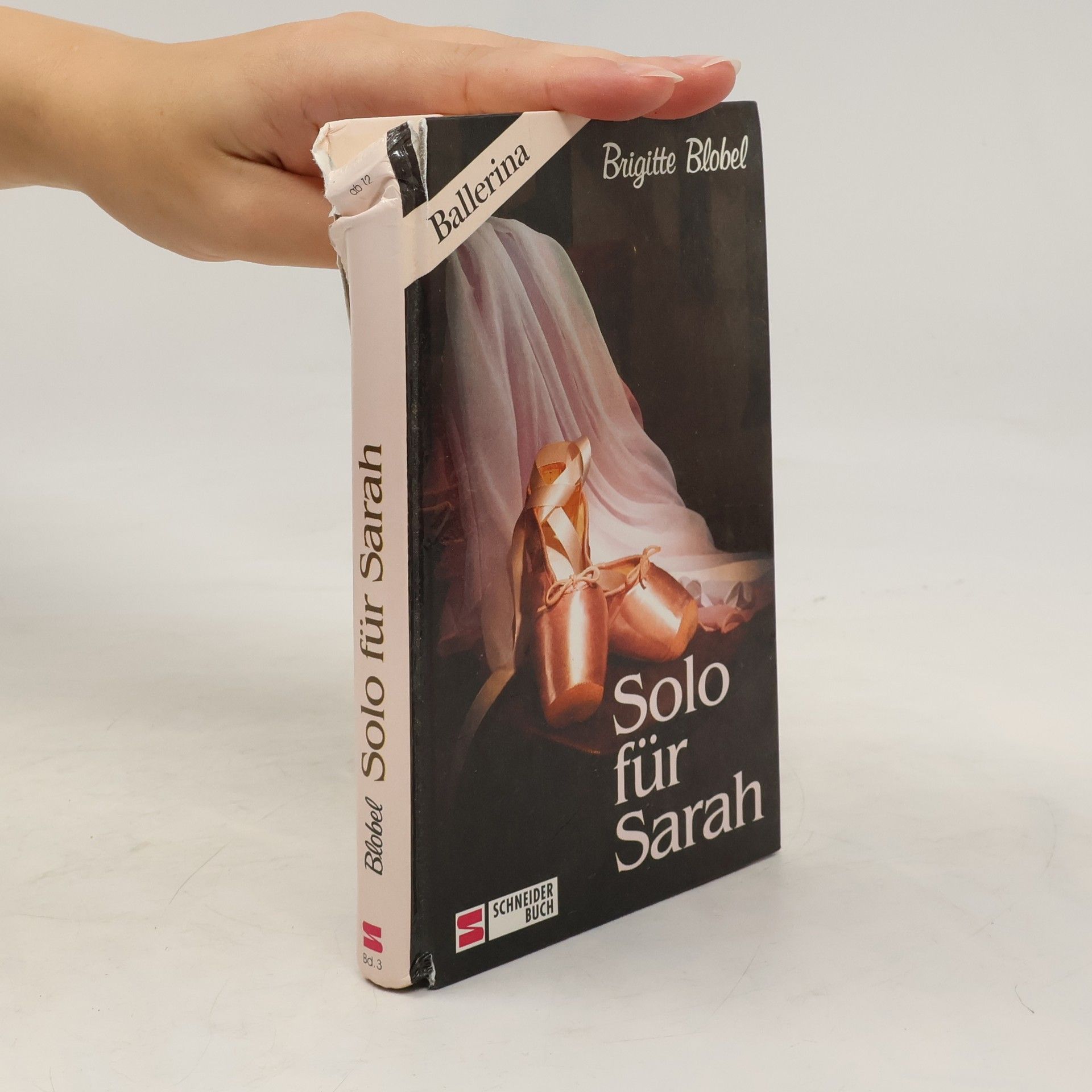 Brigitte Blobel Ballerina. Solo für Sarah