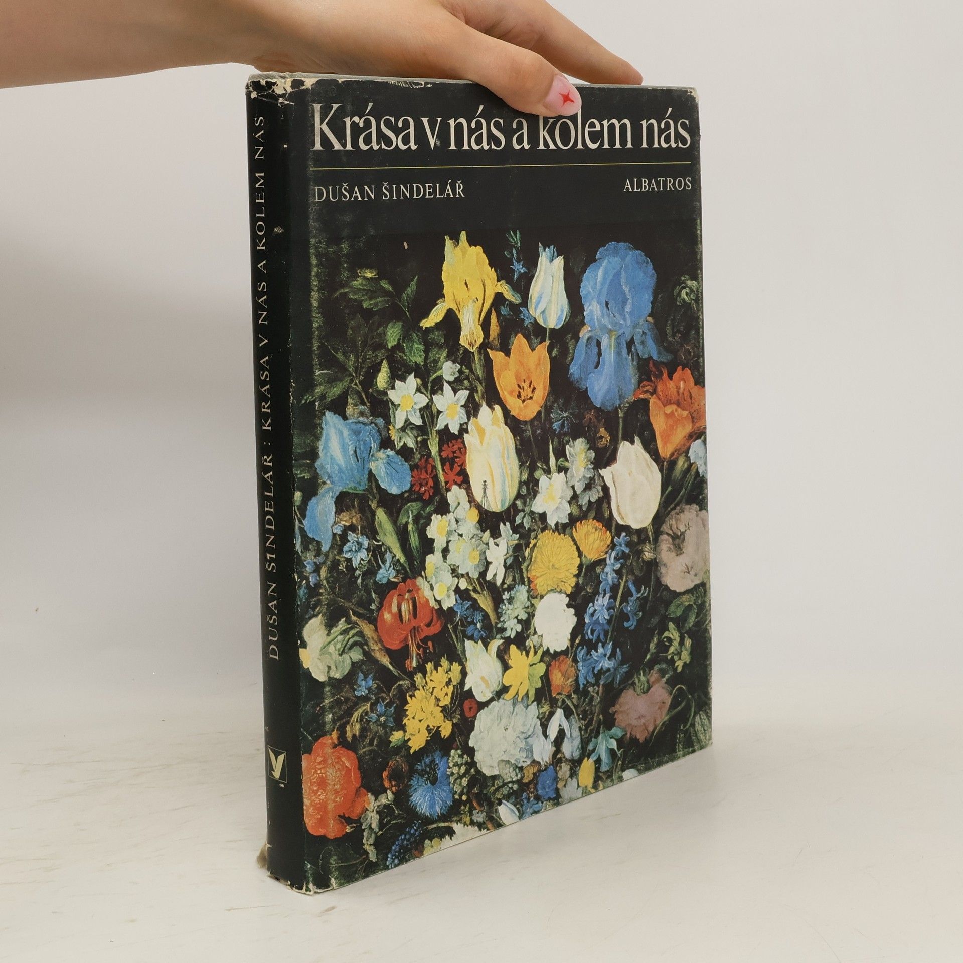 Krása v nás a kolem nás