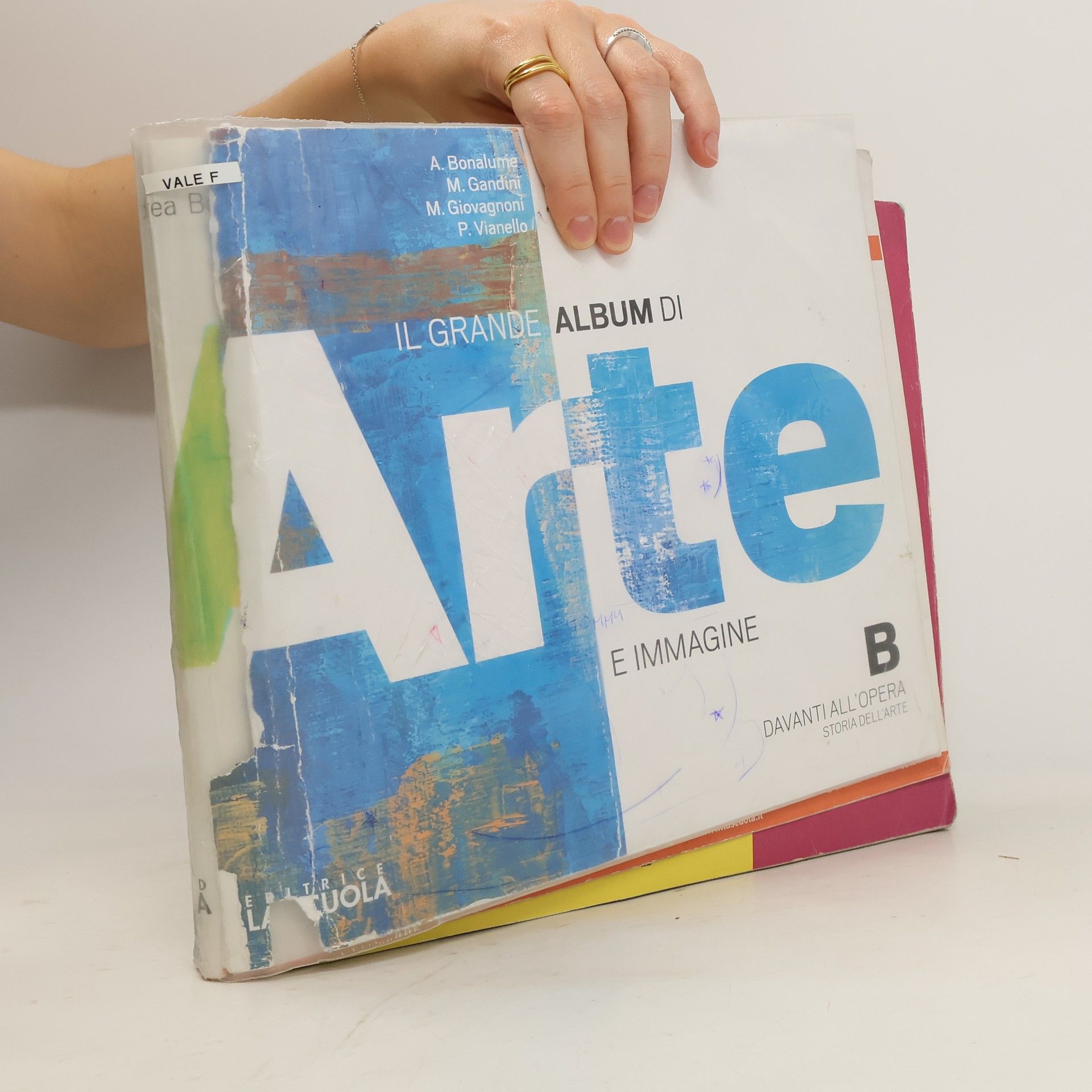 A. Bonalume  Il grande album di arte e immagine