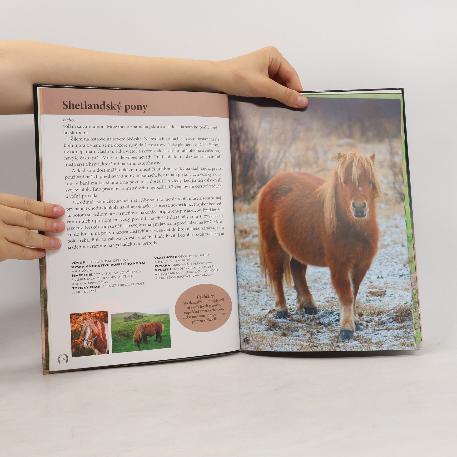 Autorenkollektiv Kone : Príbehy z celého sveta