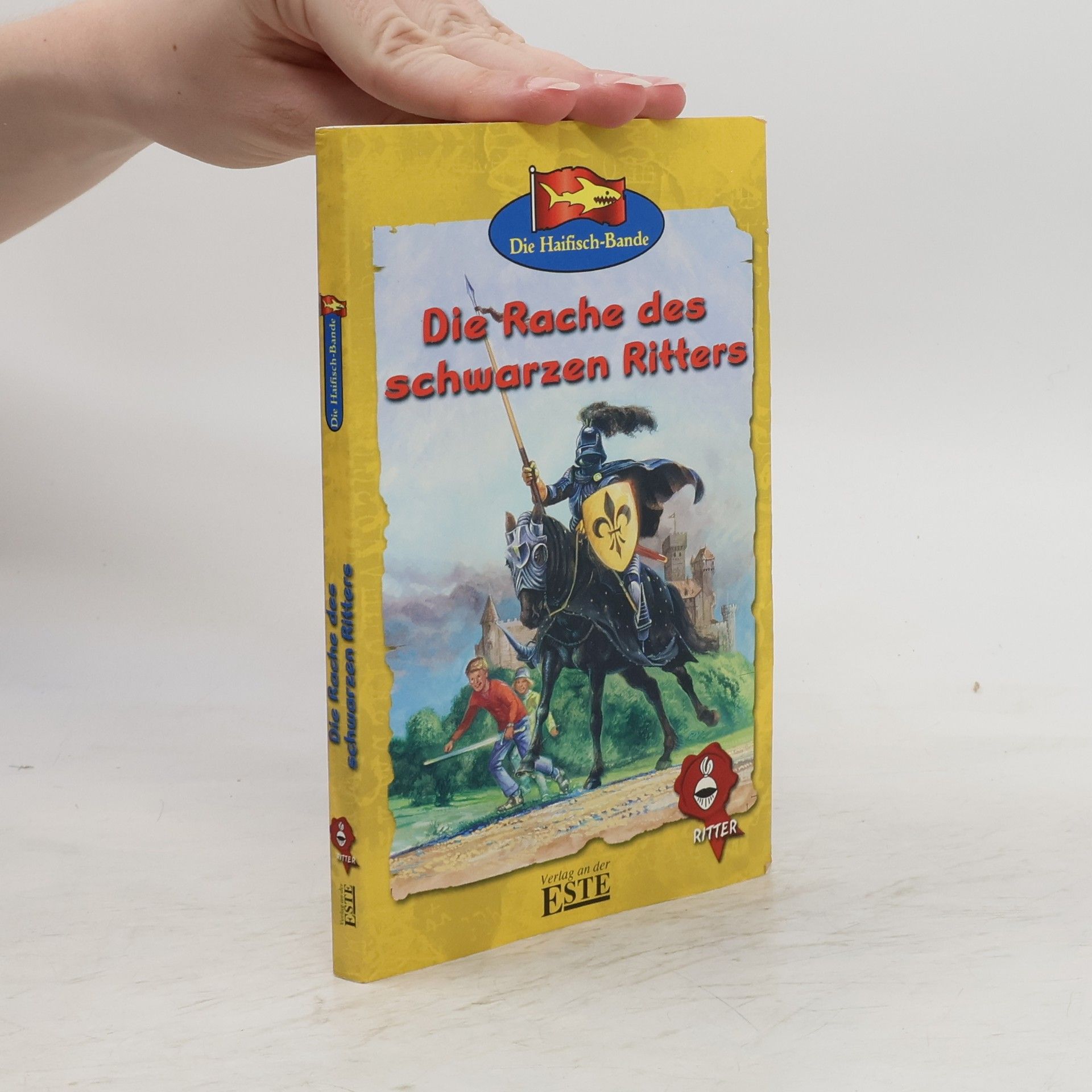AA.VV. Die Rache des schwarzen Ritters