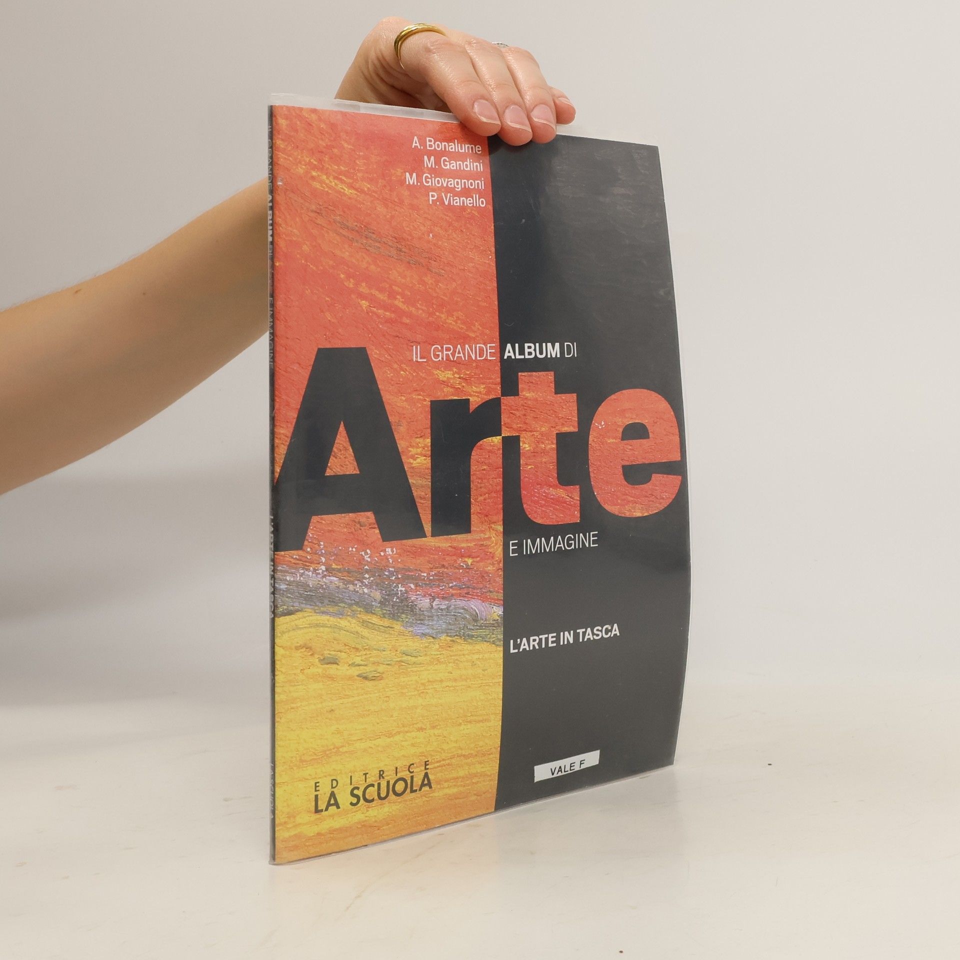 AA.VV. Il Grande Album di Arte e Immagine B