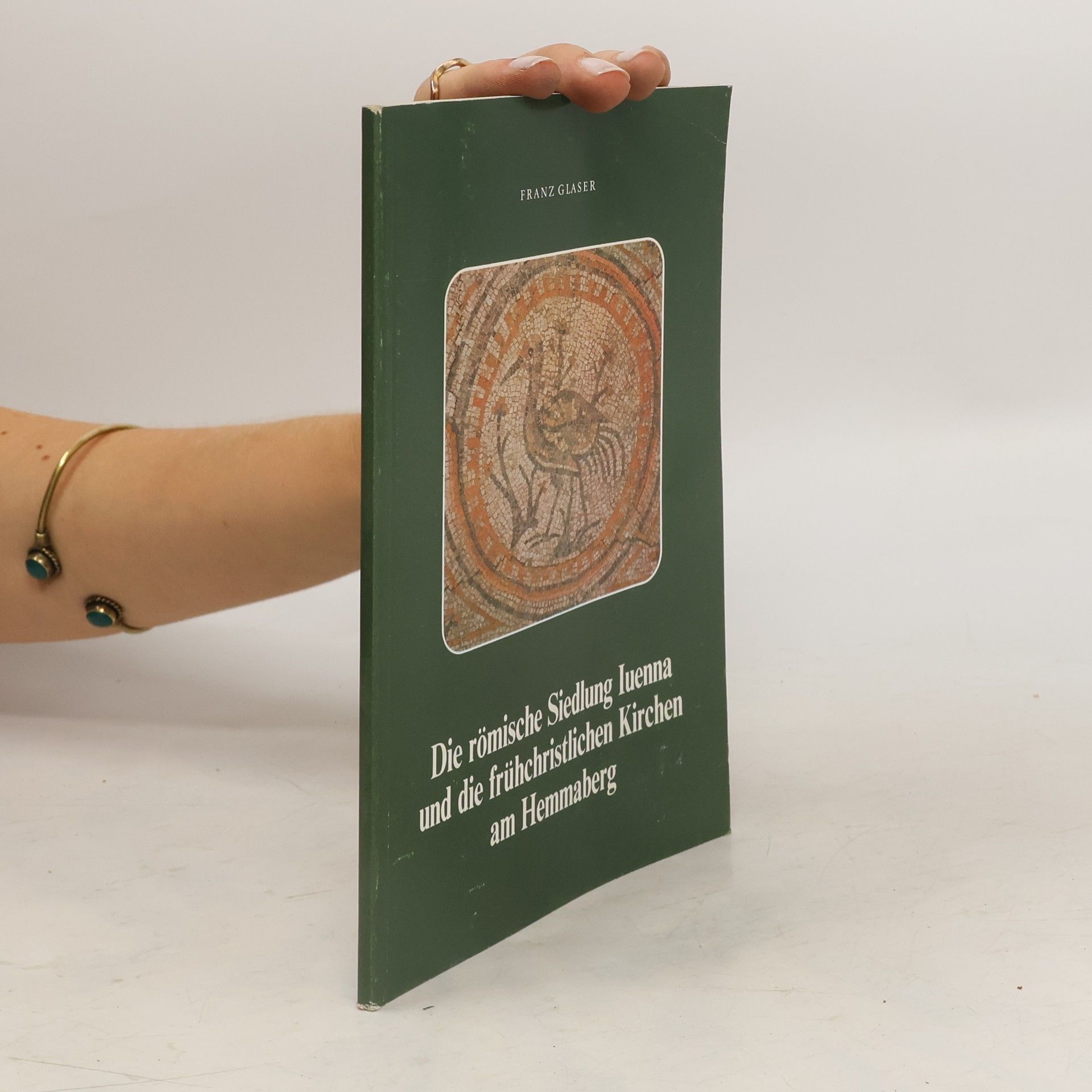 Die römische Siedlung Iuenna und die frühchristlichen Kirchen am Hemmaberg