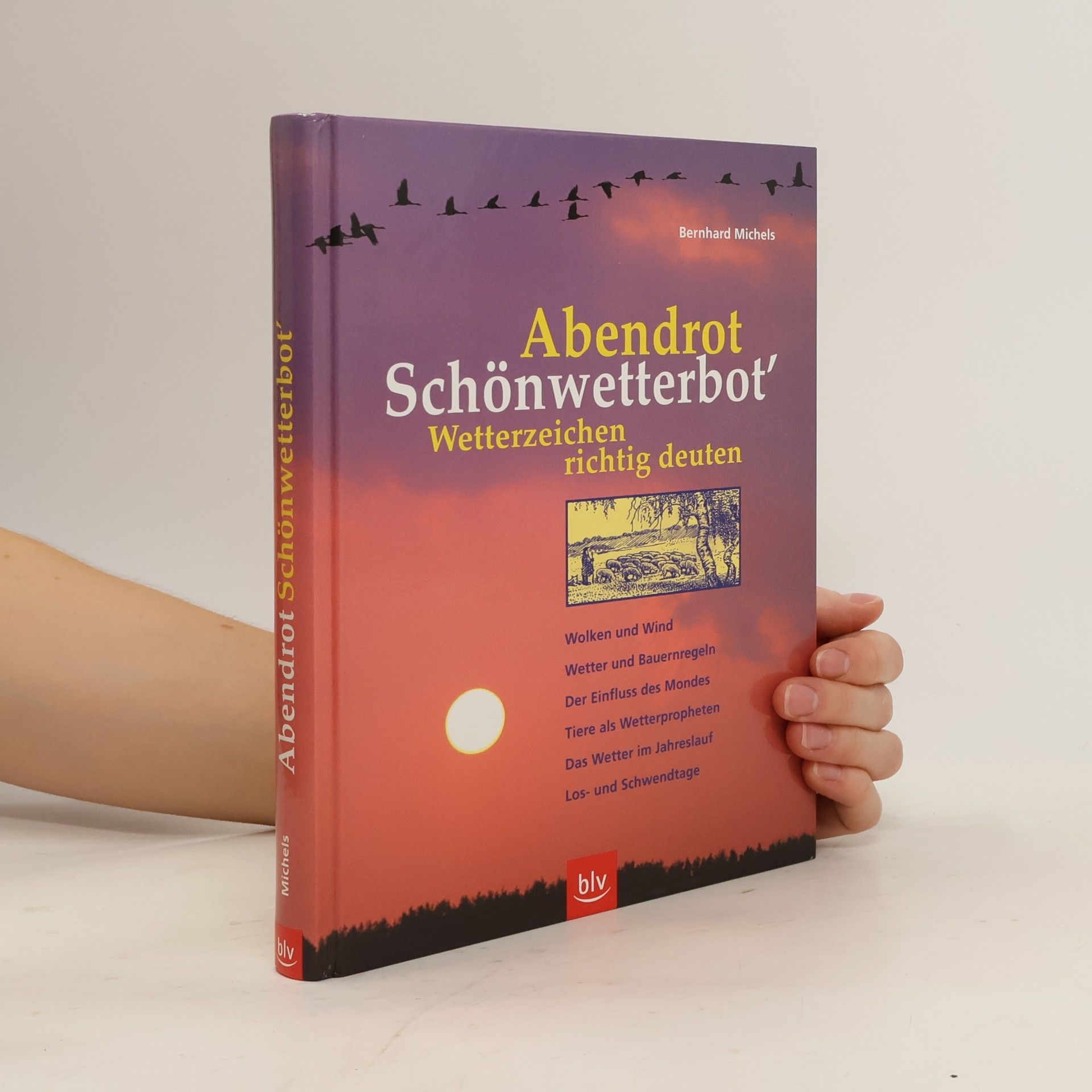 Bernhard Michels Abendrot Schönwetterbot'