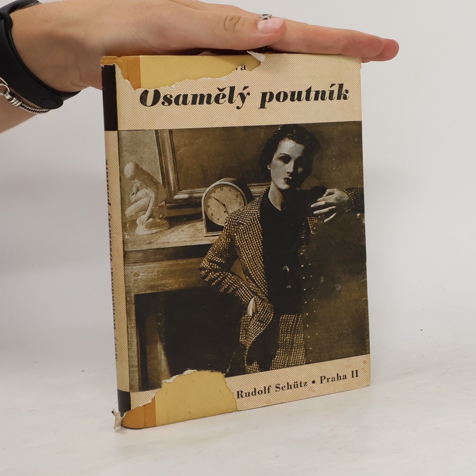 Mary Rolland Osamělý poutník