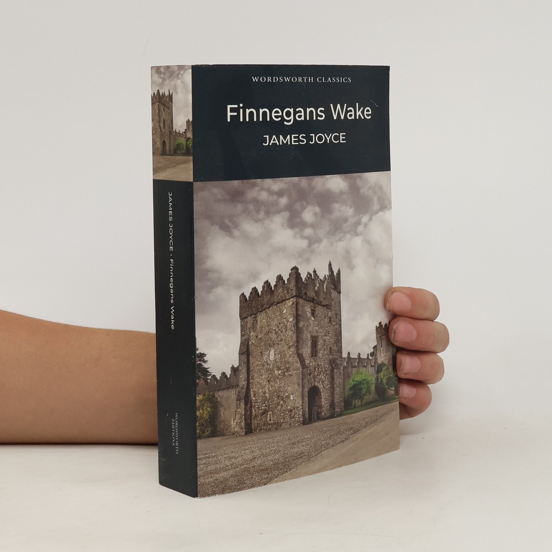 James Joyce Finnegans wake