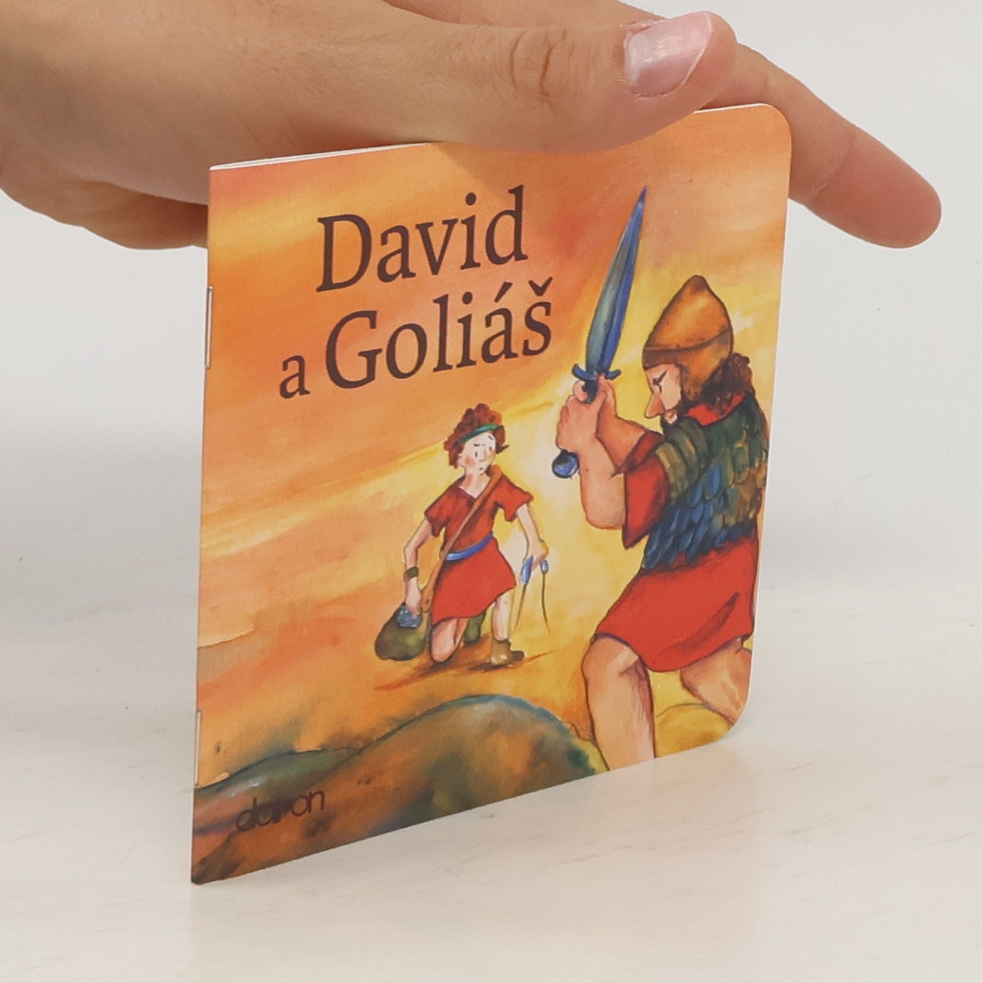 Susanne Brandt David a Goliáš