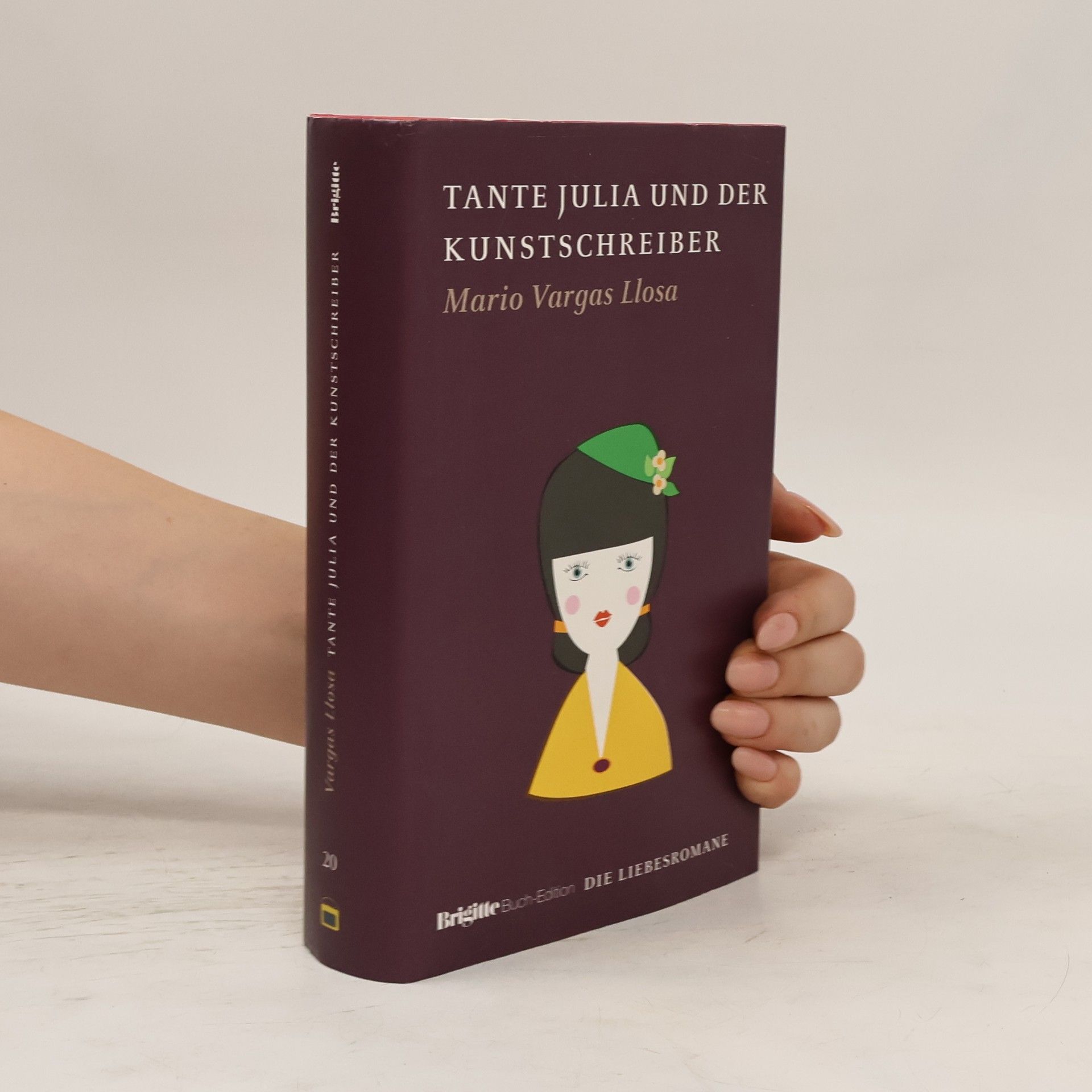 Mario Vargas Llosa Tante Julia und der Kunstschreiber