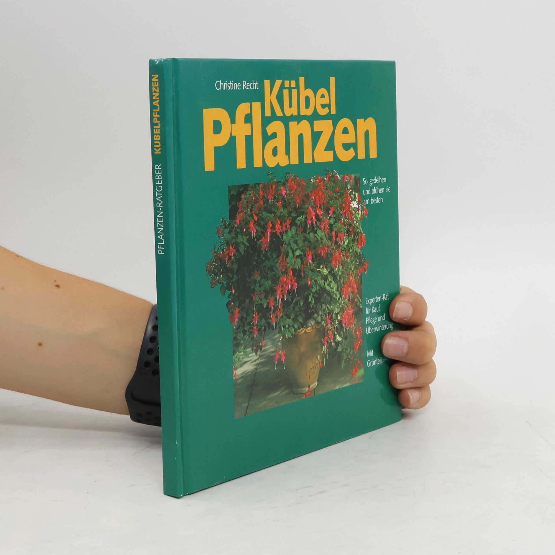 Christine Recht Kübelpflanzen