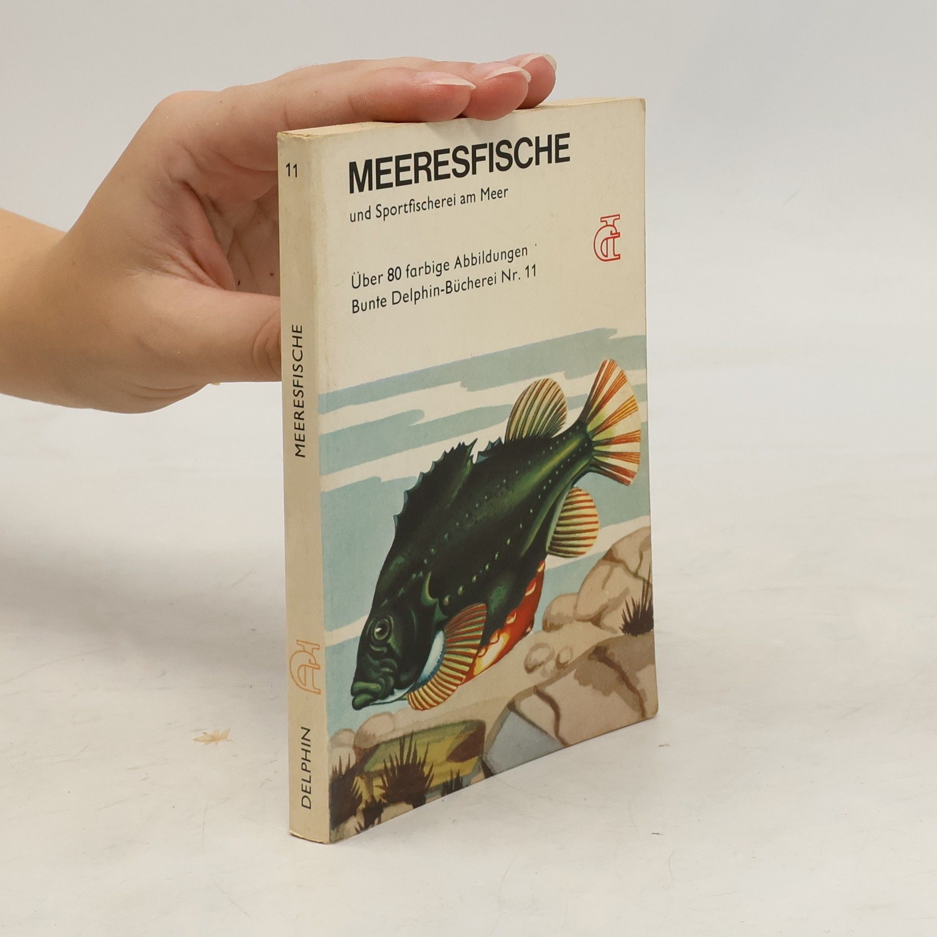 Collectif d'auteurs Meeresfische und Sportfischerei am Meer