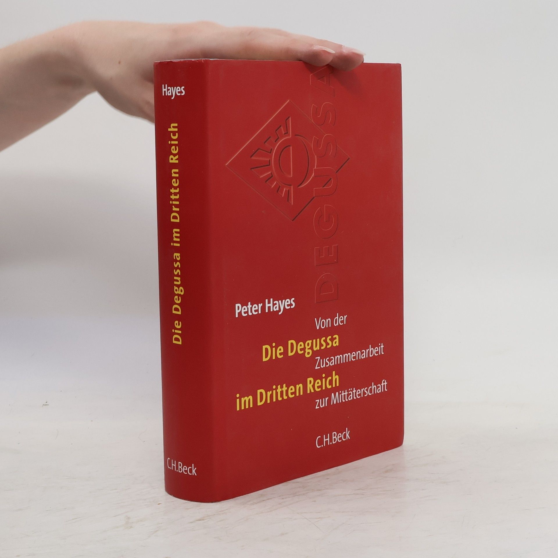 Peter Hayes Die Degussa im Dritten Reich
