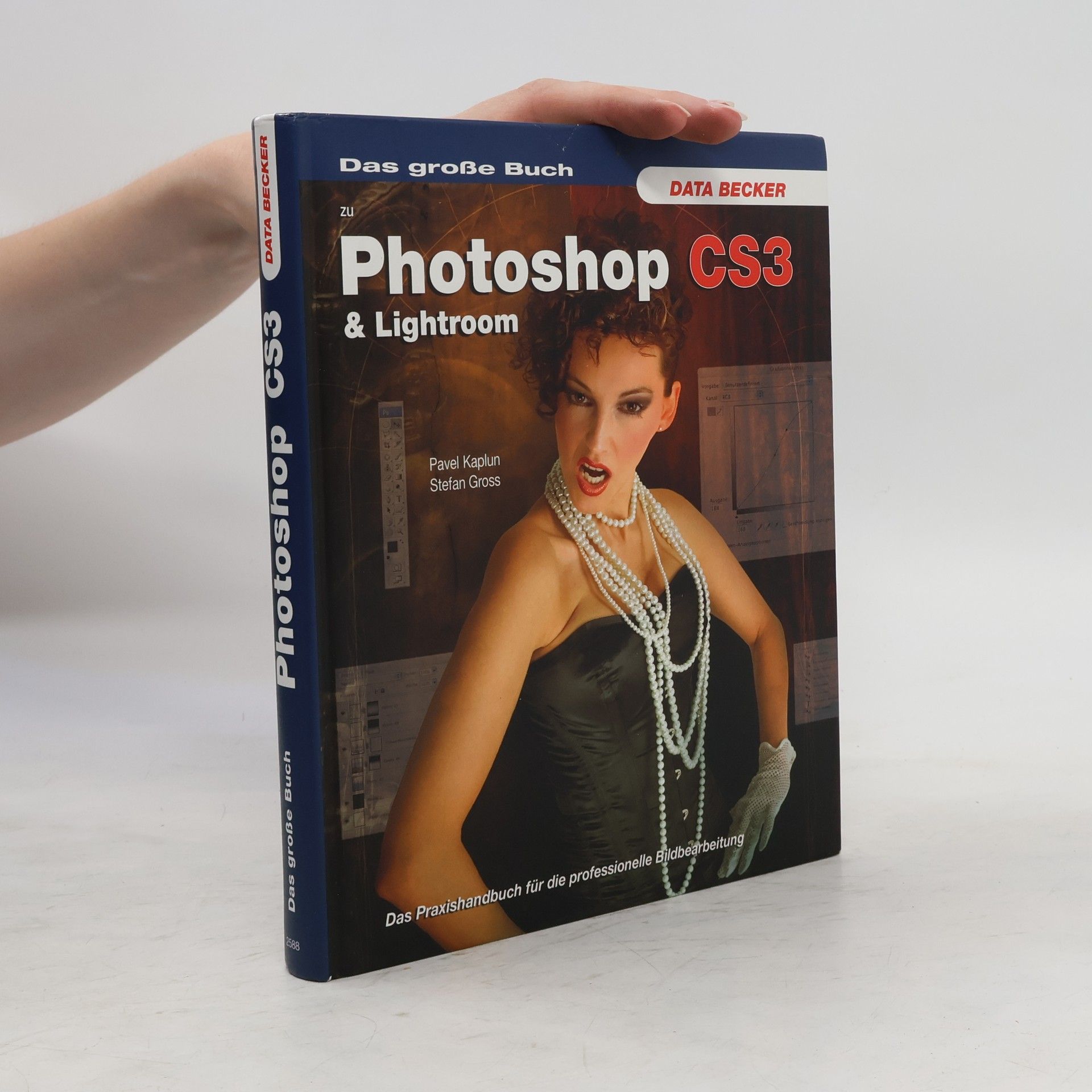 Stefan Gross Das große Buch Photoshop CS3 & Lightroom