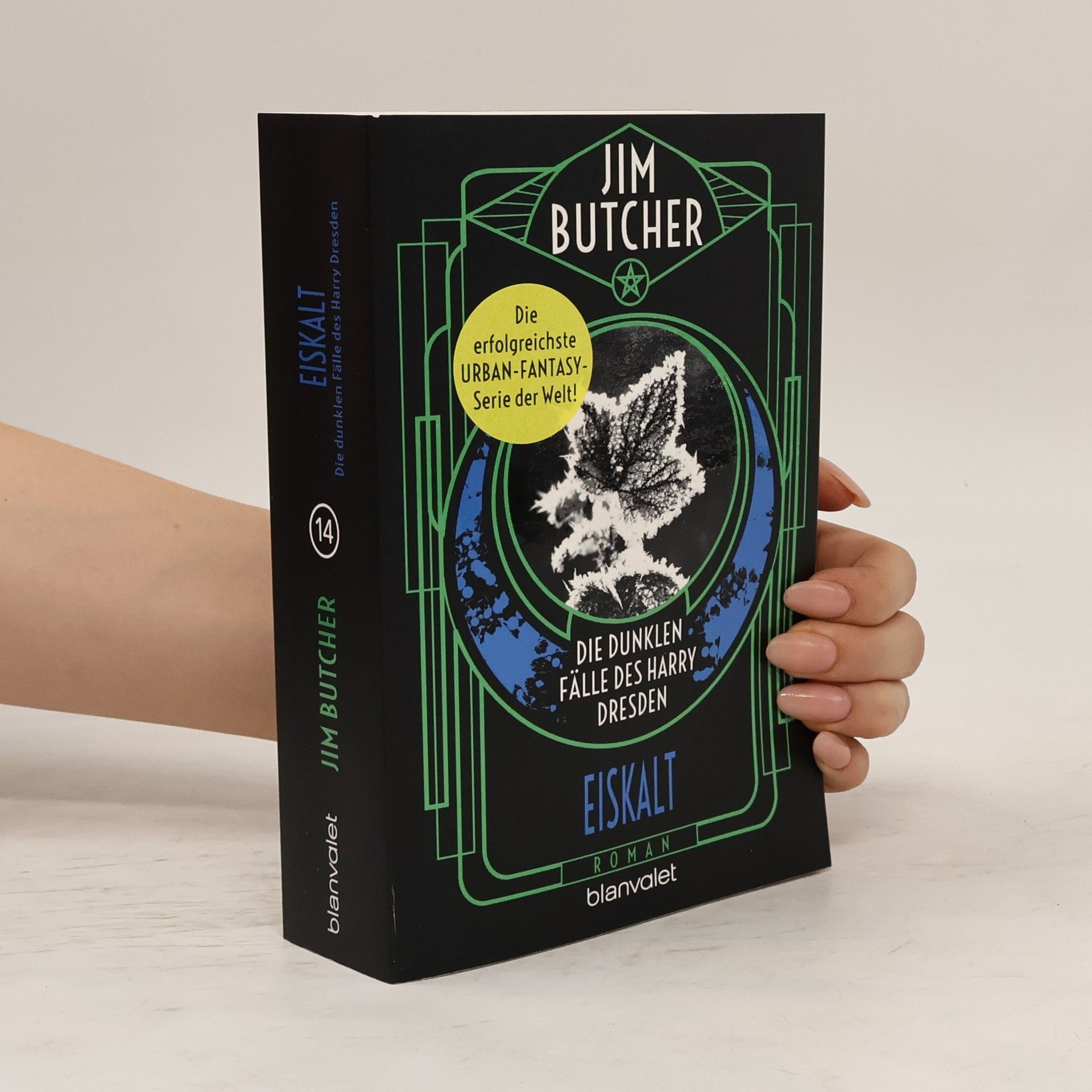 Jim Butcher Die dunklen Fälle des Harry Dresden - Eiskalt