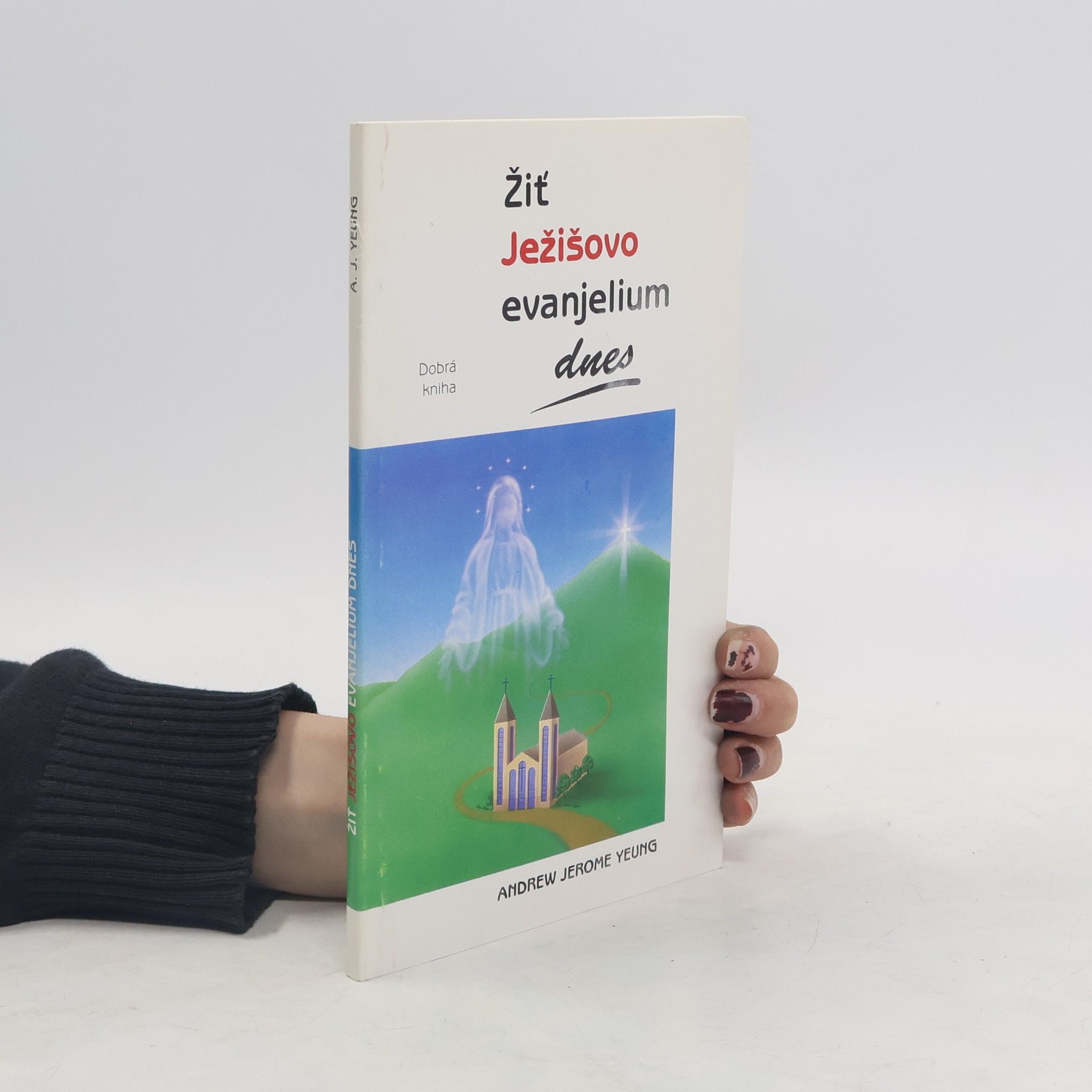 Andrew Jerome Yeung Žiť Ježišovo evanjelium dnes