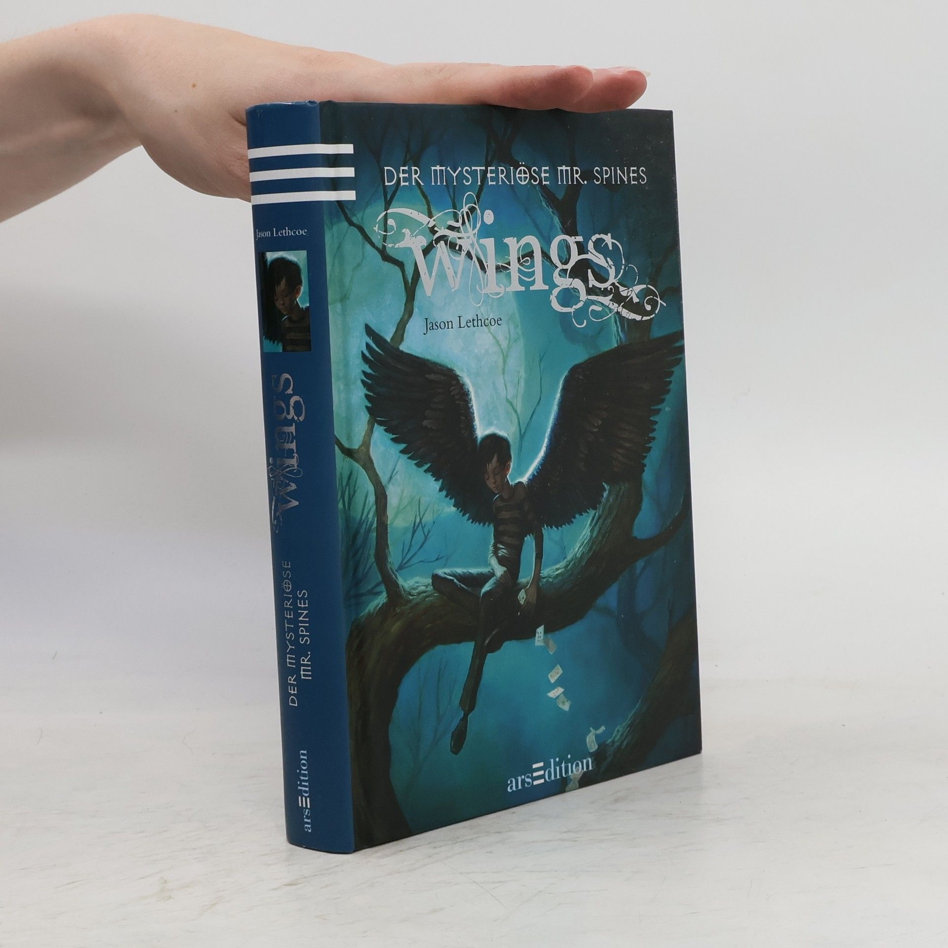 Jason Lethcoe Der mysteriöse Mr. Spines: Wings