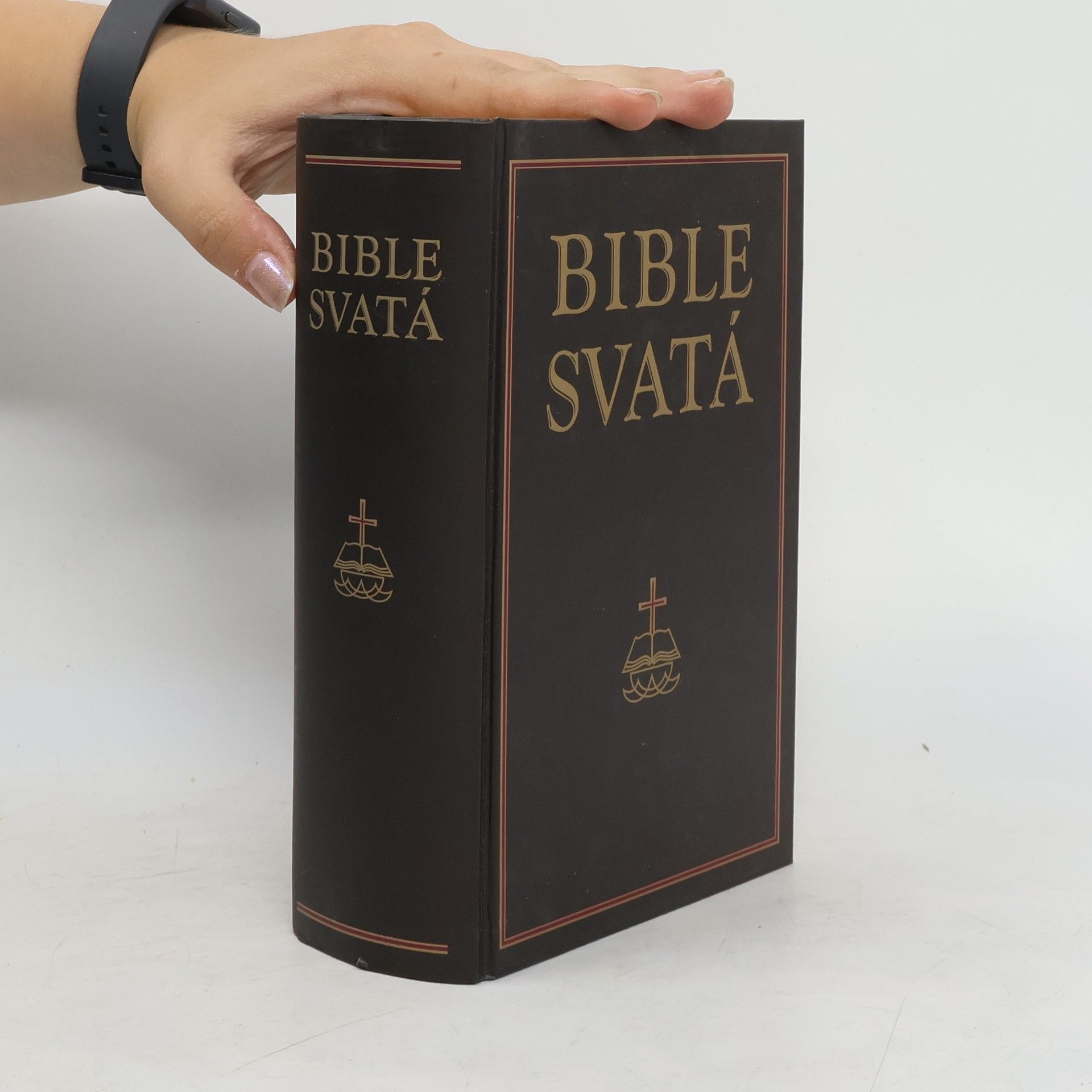 kolektiv Bible svatá aneb všecka svatá písma Starého i Nového zákona