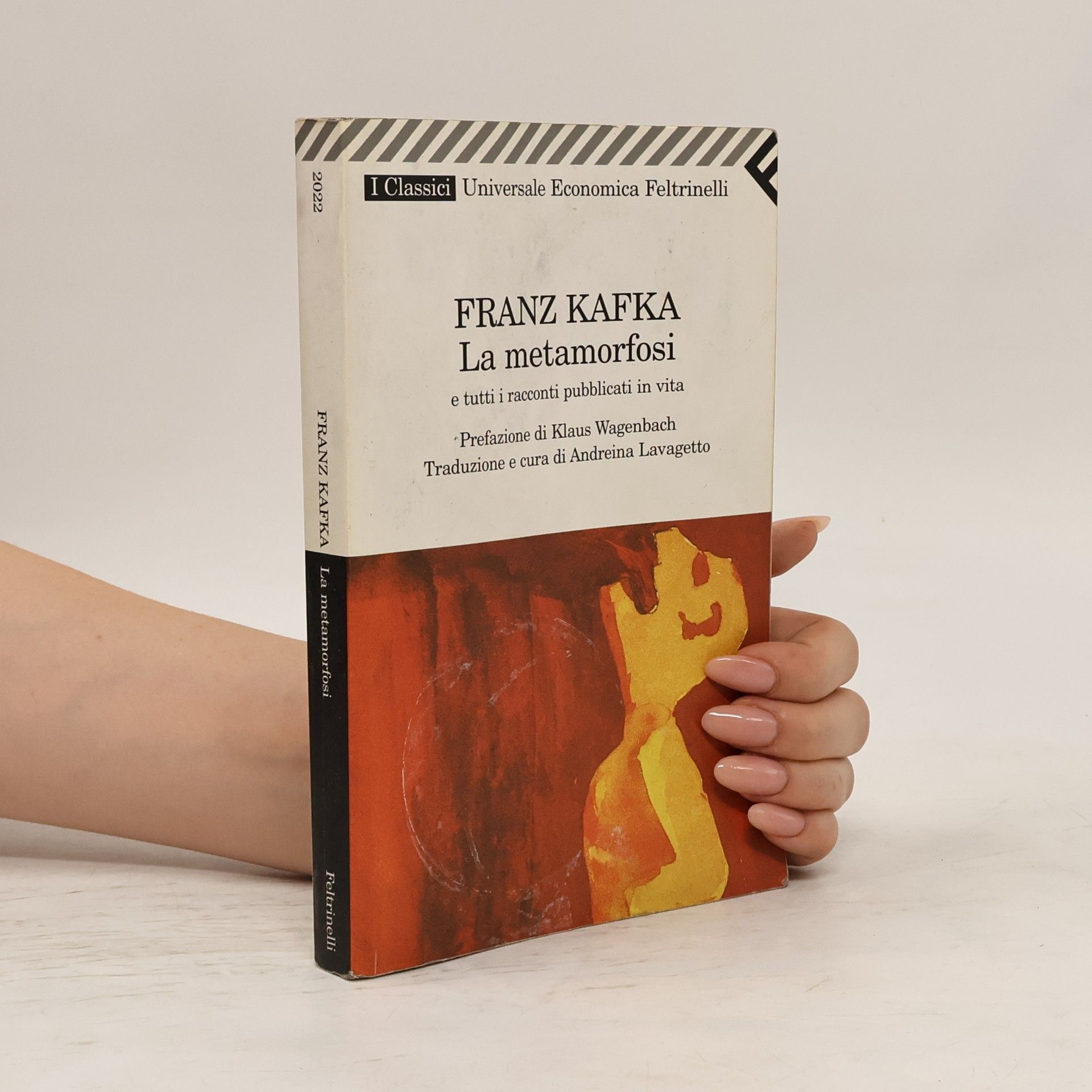 Franz Kafka La metamorfosi e tutti i racconti pubblicati in vita