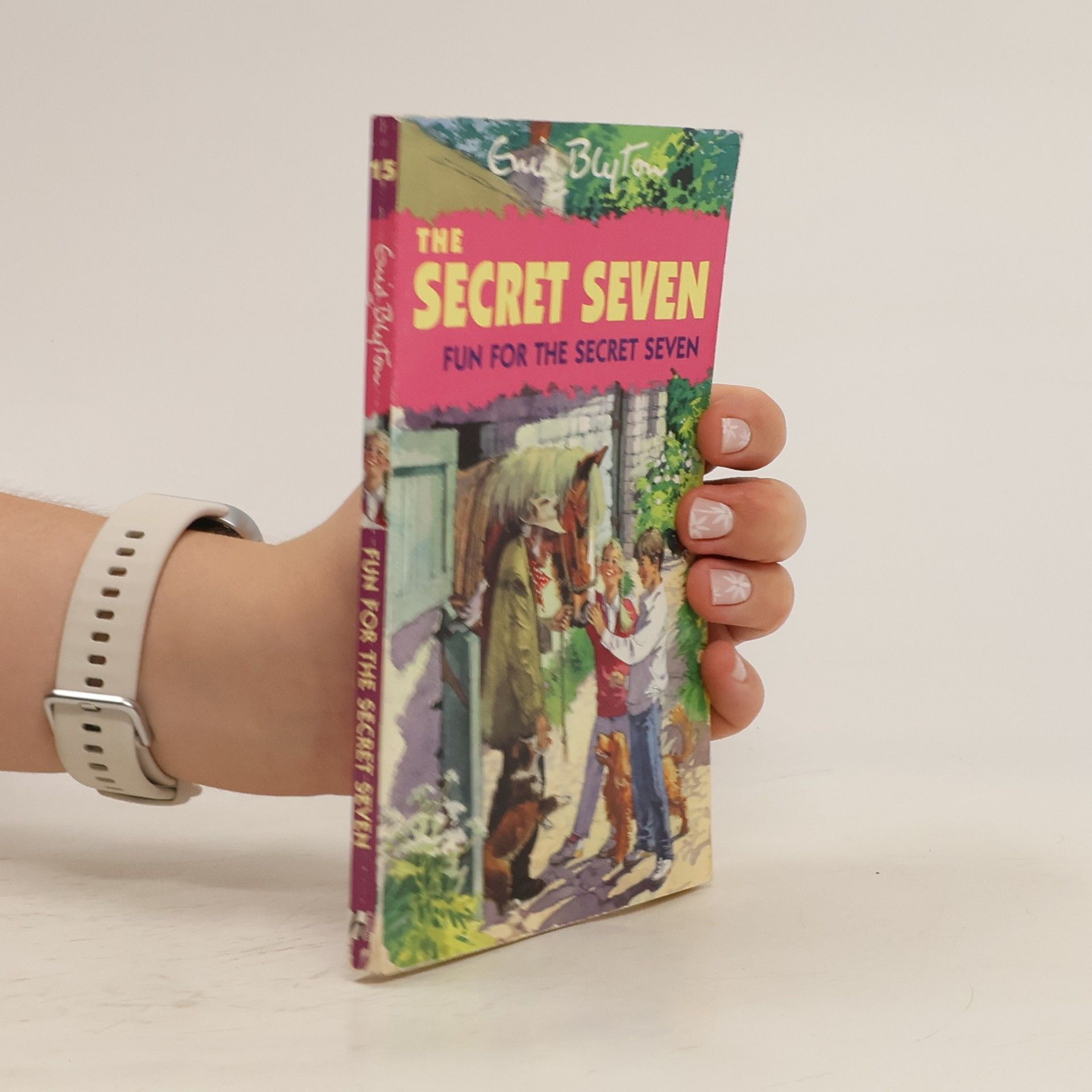 Enid Blyton Fun for the Secret Seven