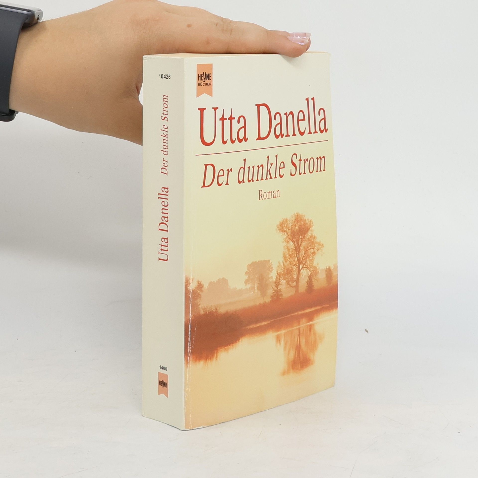Utta Danella Der dunkle Strom.
