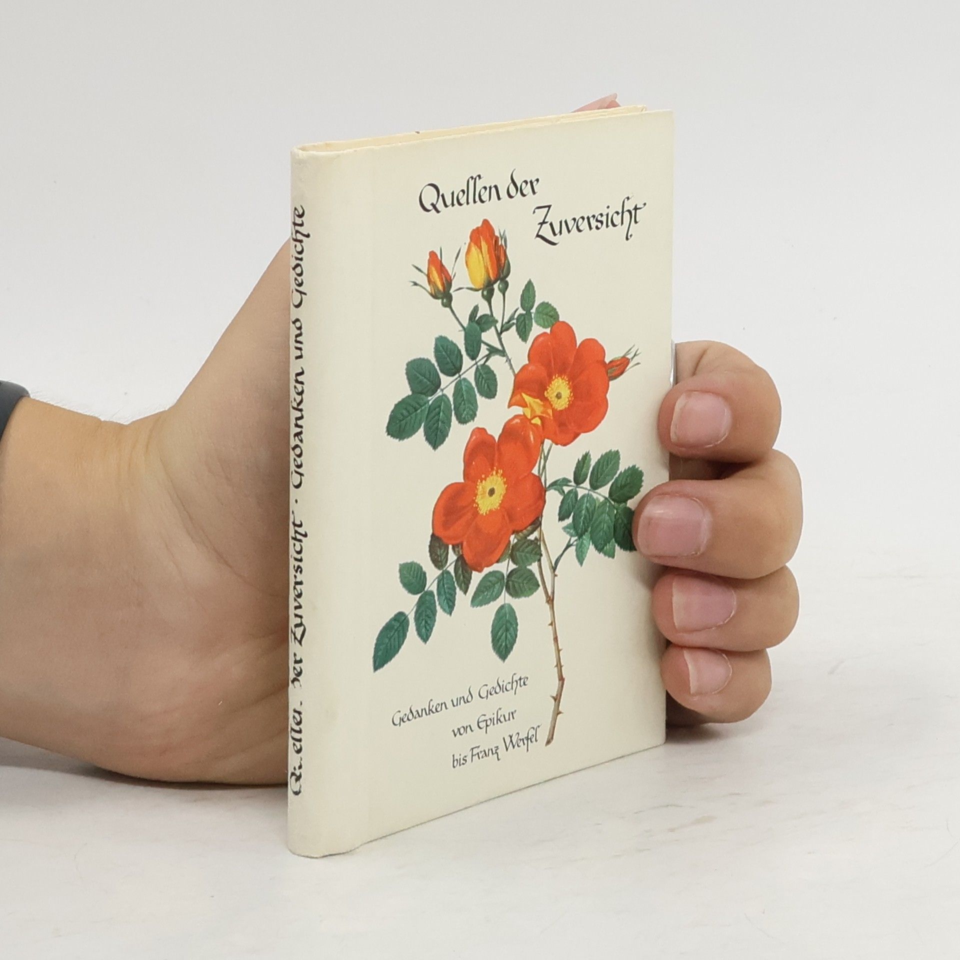 kolektiv Quellen der Zuversicht