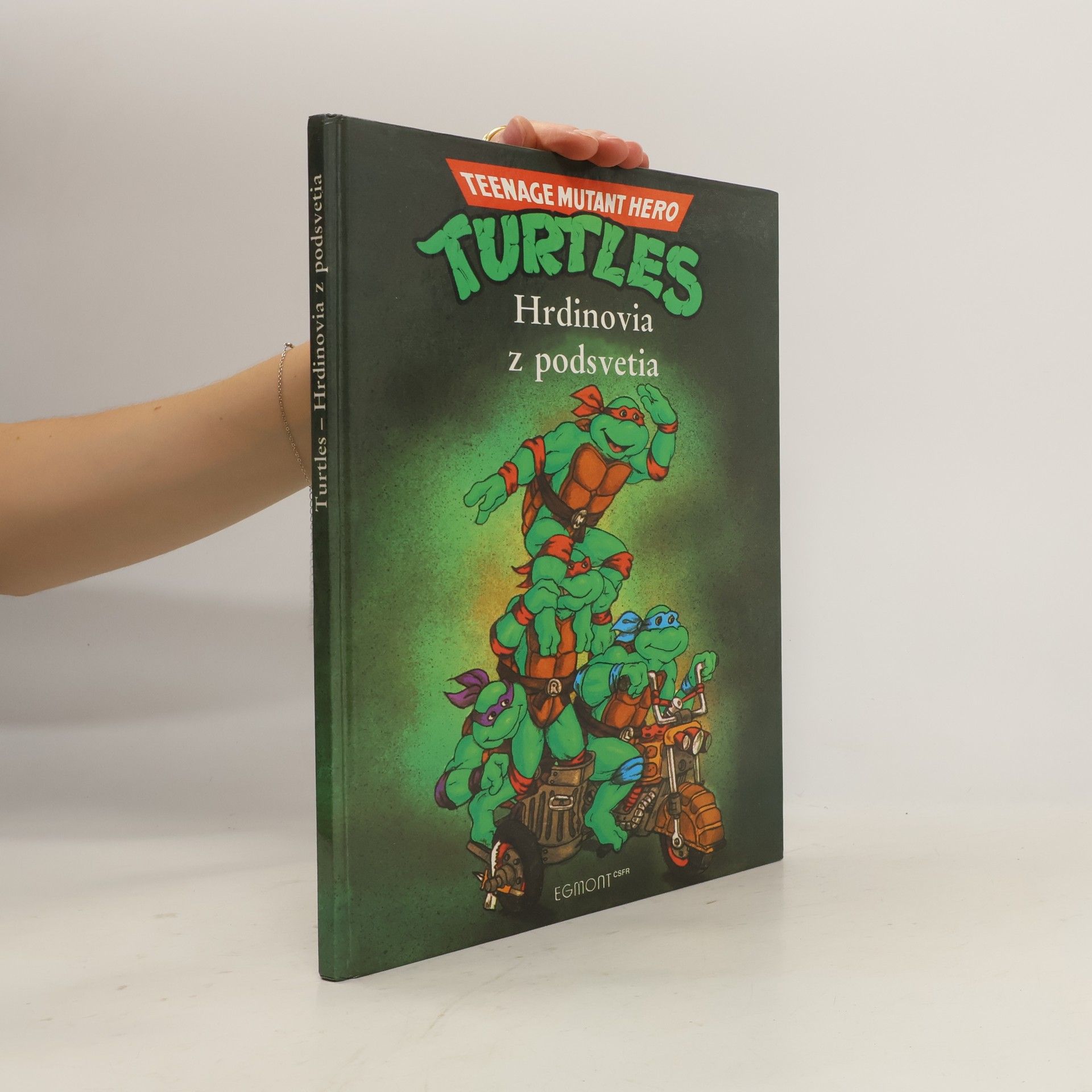 Maureen Spurgeon Turtles - Hrdinovia z podsvetia