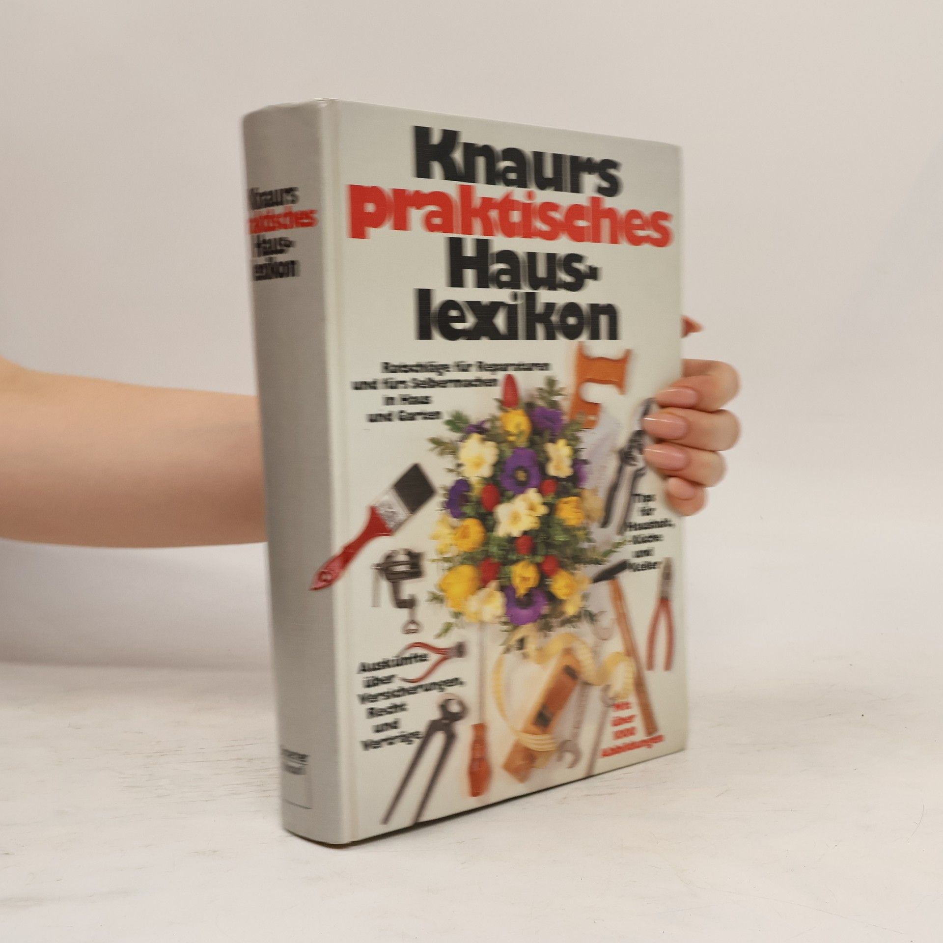 Mar Groen Knaurs praktisches Hauslexikon